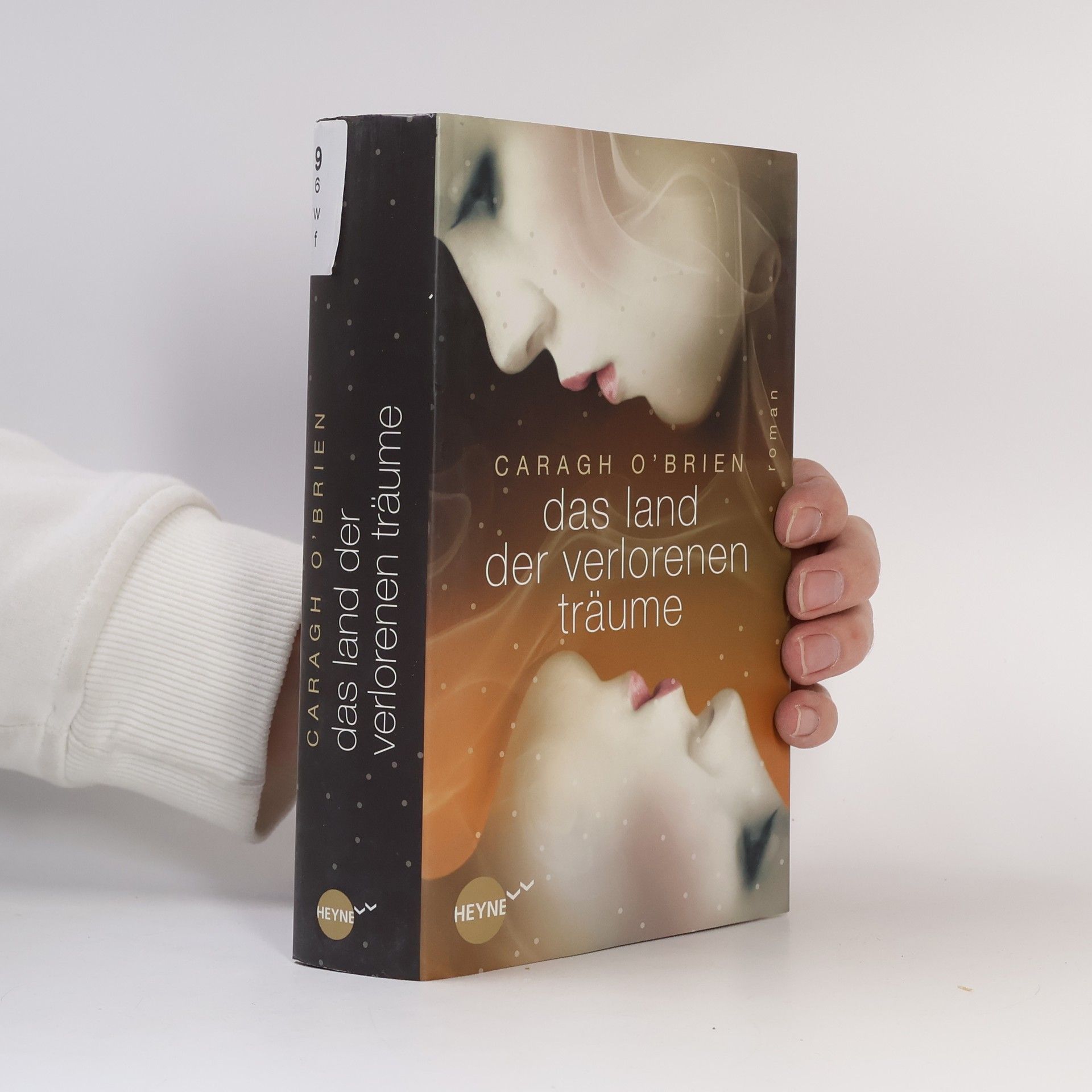 Caragh O. Brien Das Land der verlorenen Träume