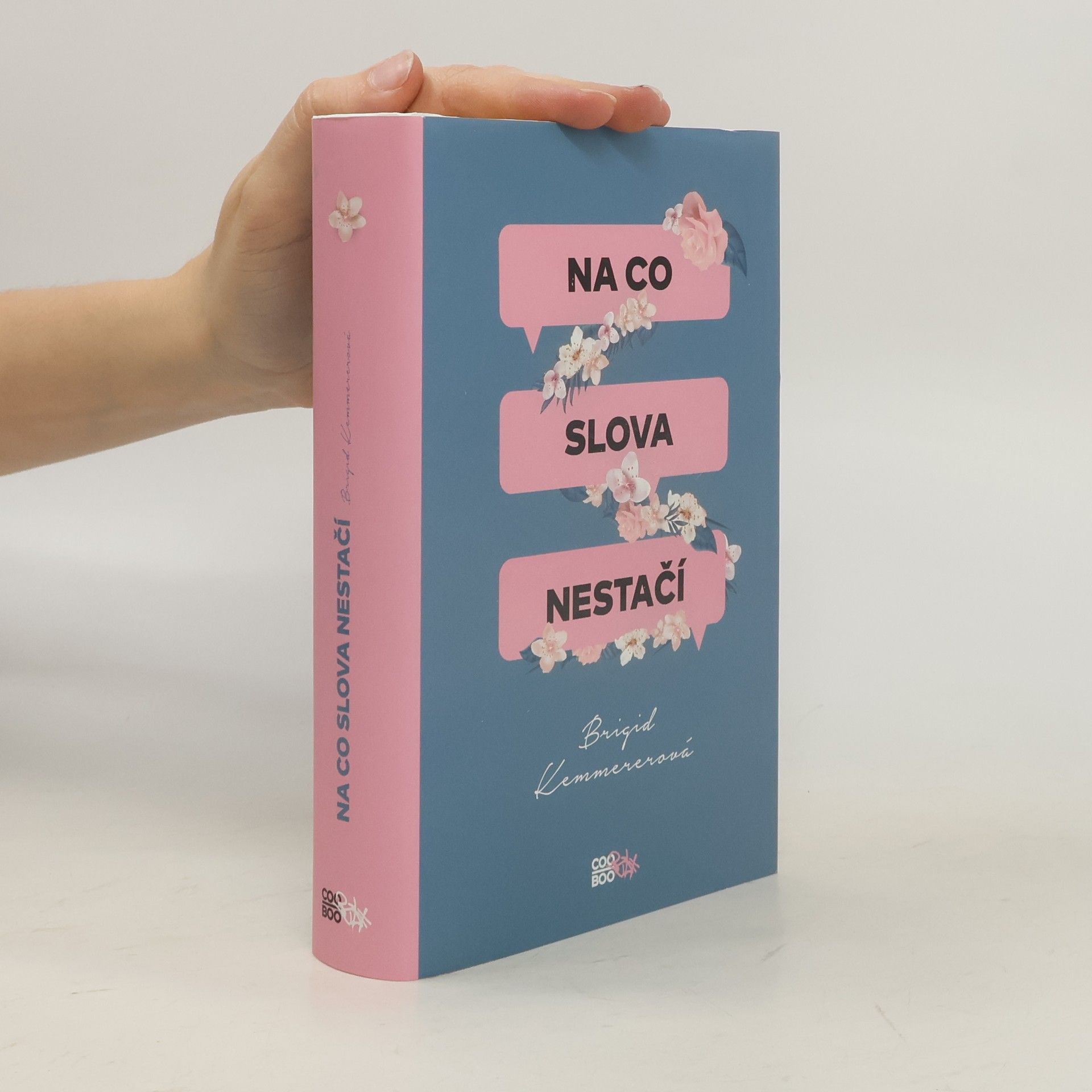 Brigid Kemmerer Na co slova nestačí