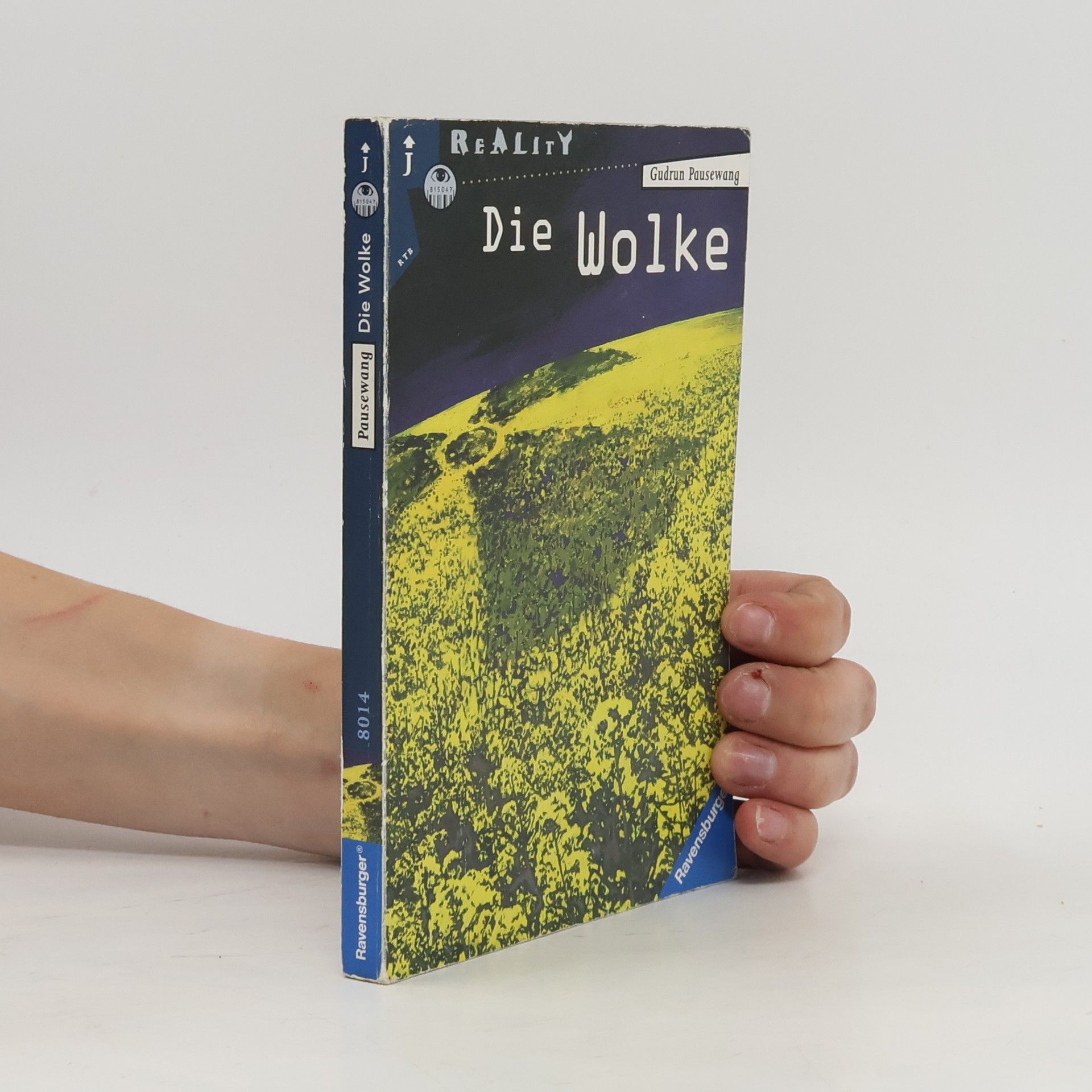 Gudrun Pausenwang Die Wolke