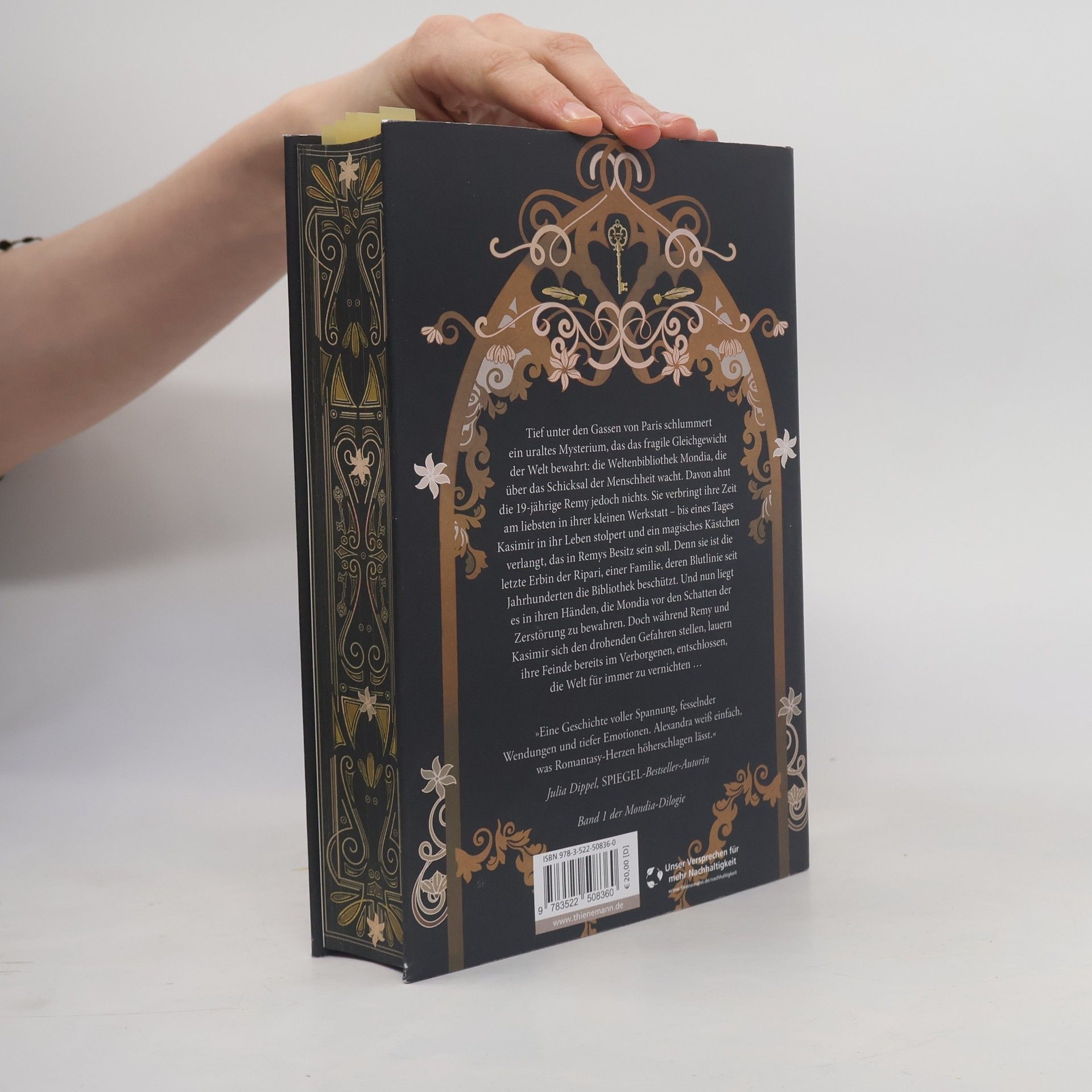 Alexandra Flint Mondia-Dilogie 1: Silent Secrets