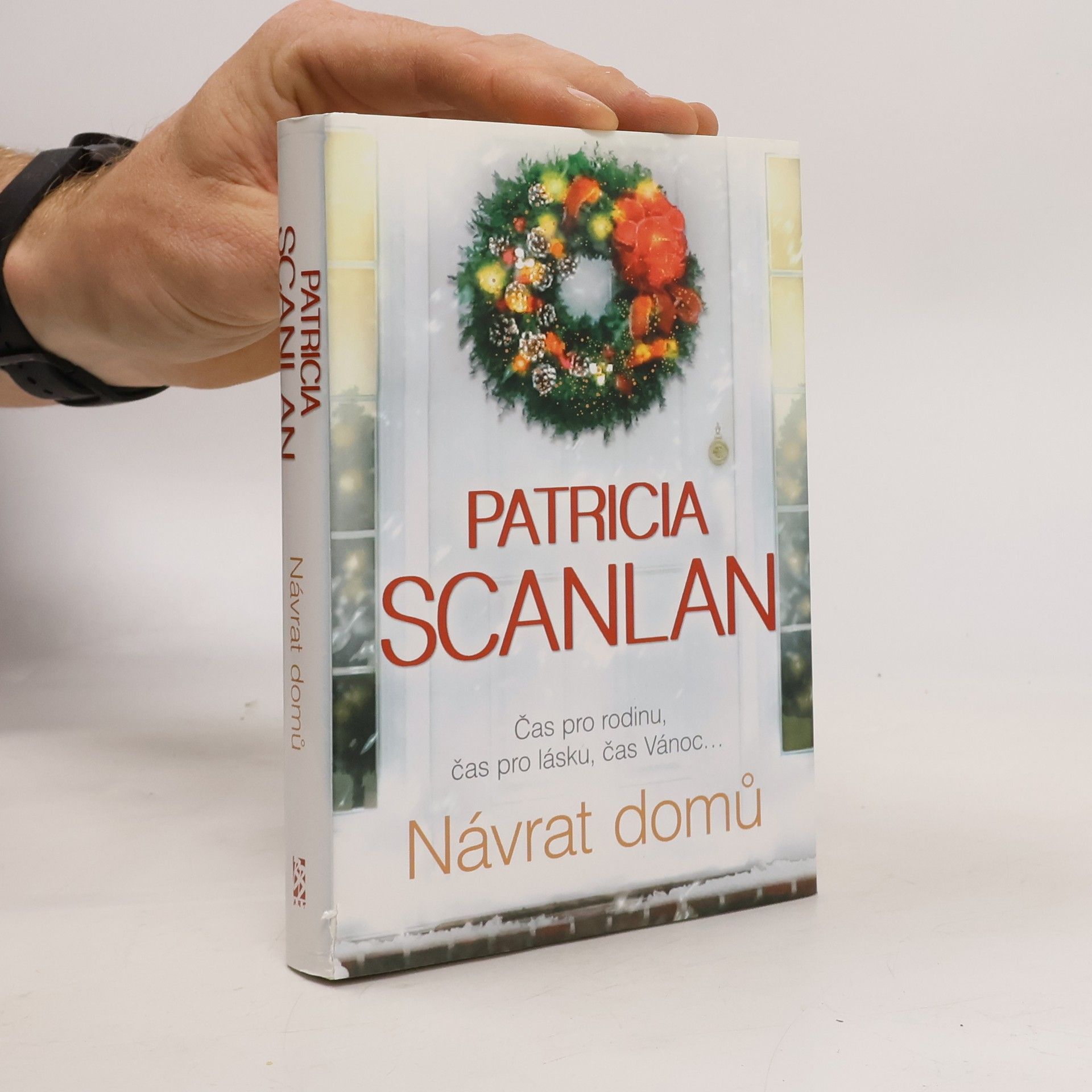Patricia Scanlan Návrat domů