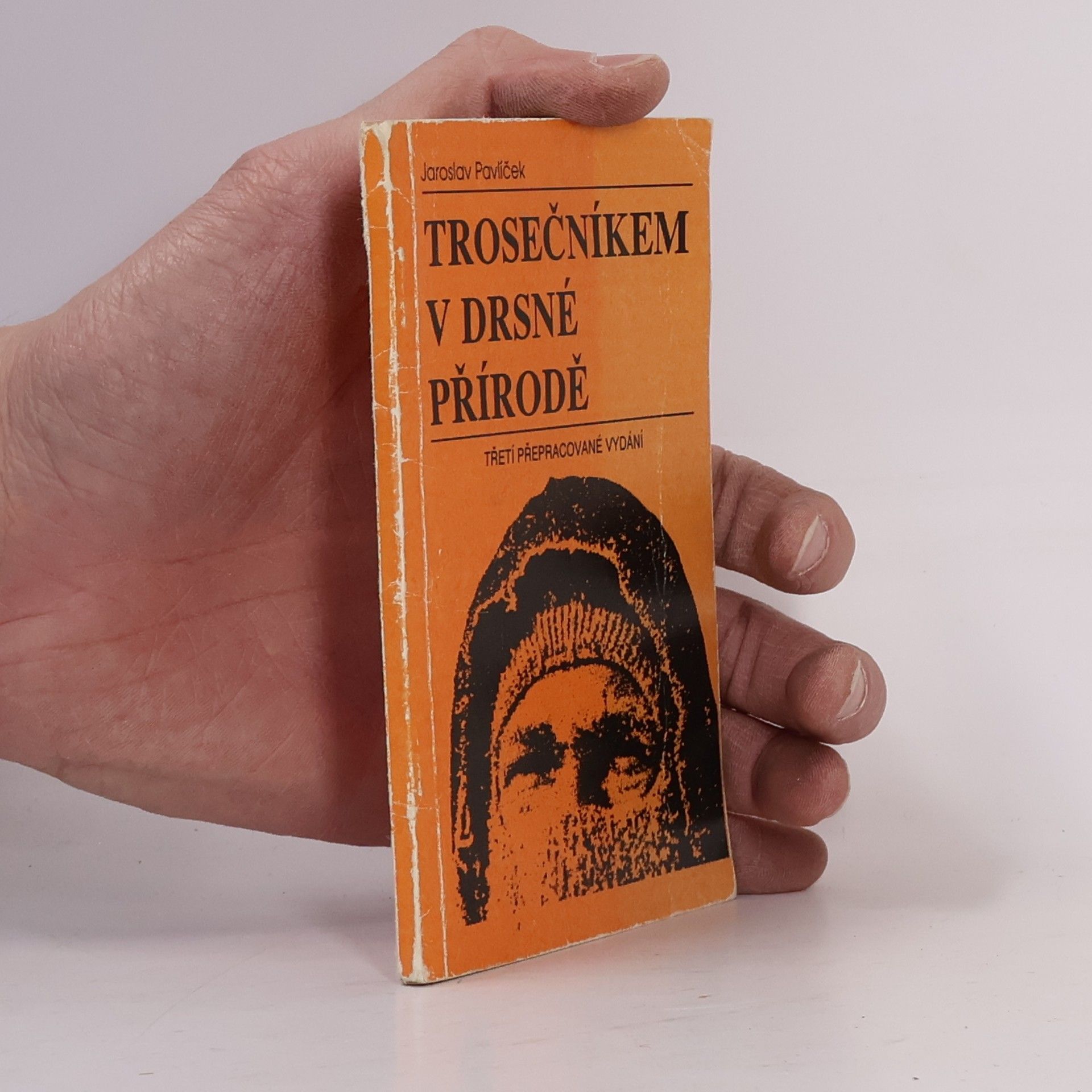 Jaroslav Pavlíček Trosečníkem v drsné přírodě