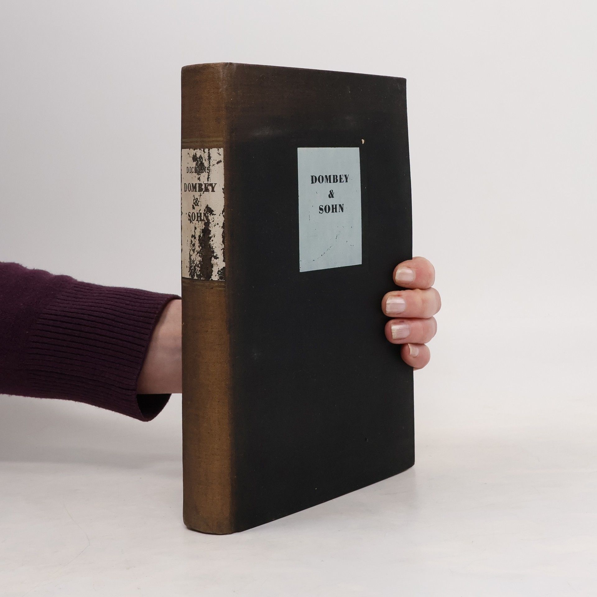 Charles Dickens Dombey and sohn