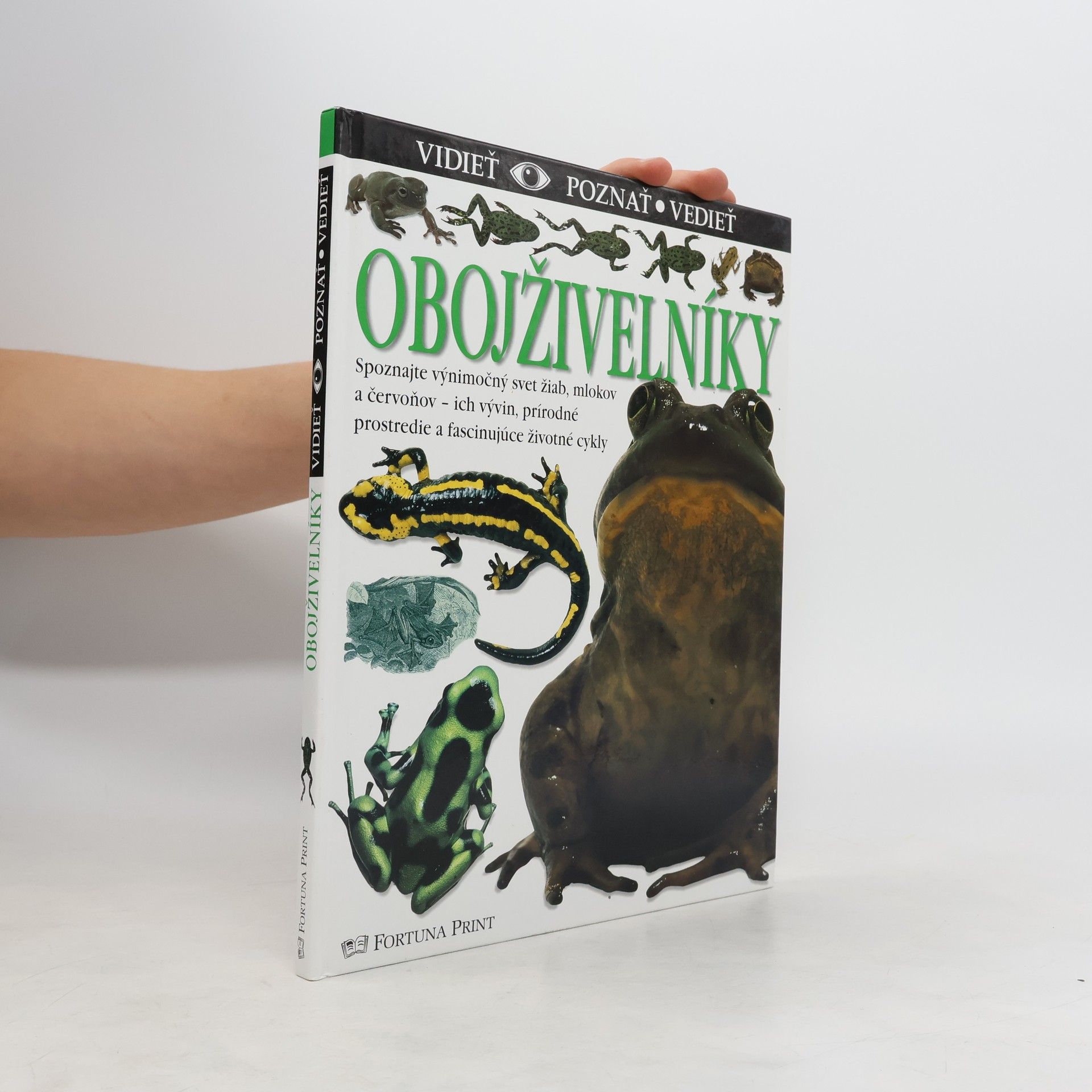 Barry Clarke Obojživelníky