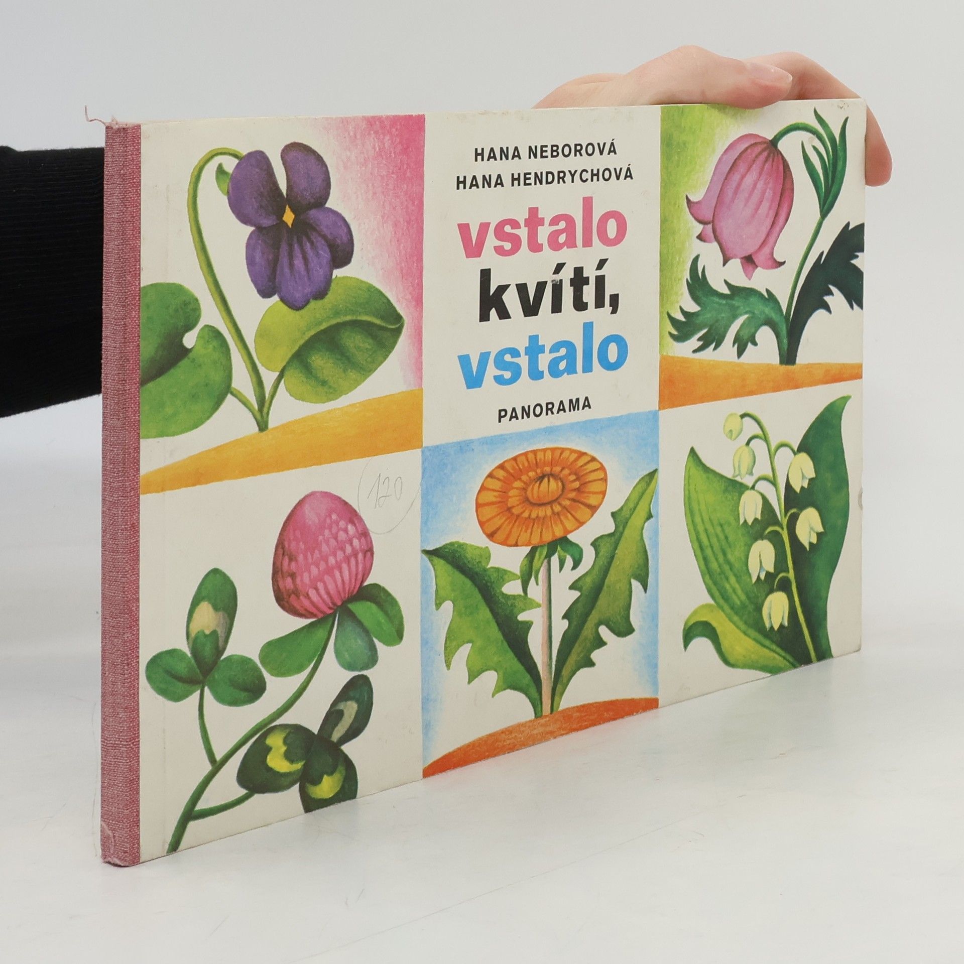 Hana Neborová Vstalo kvítí, vstalo