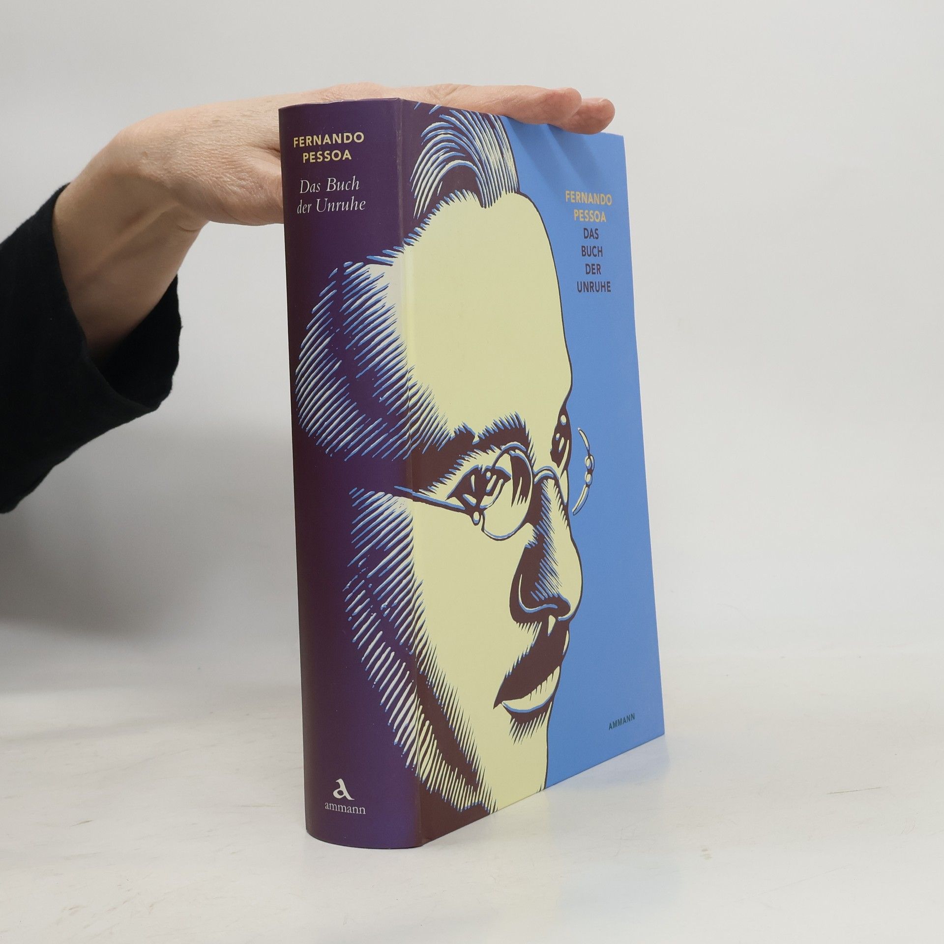 Fernando Pessoa Das Buch der Unruhe des Hilfsbuchhalters Bernardo Soares