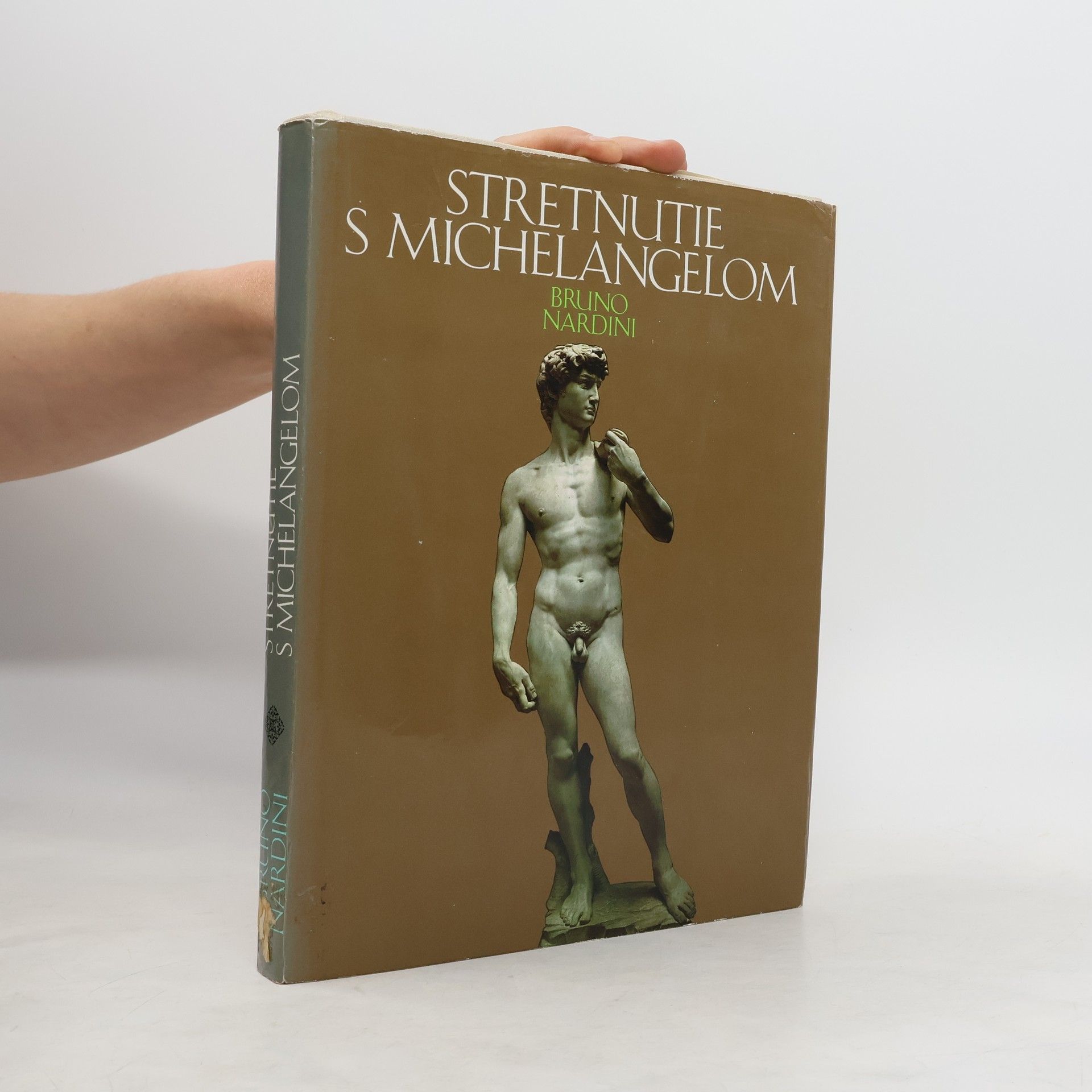 Bruno Nardini Stretnutie s Michelangelom
