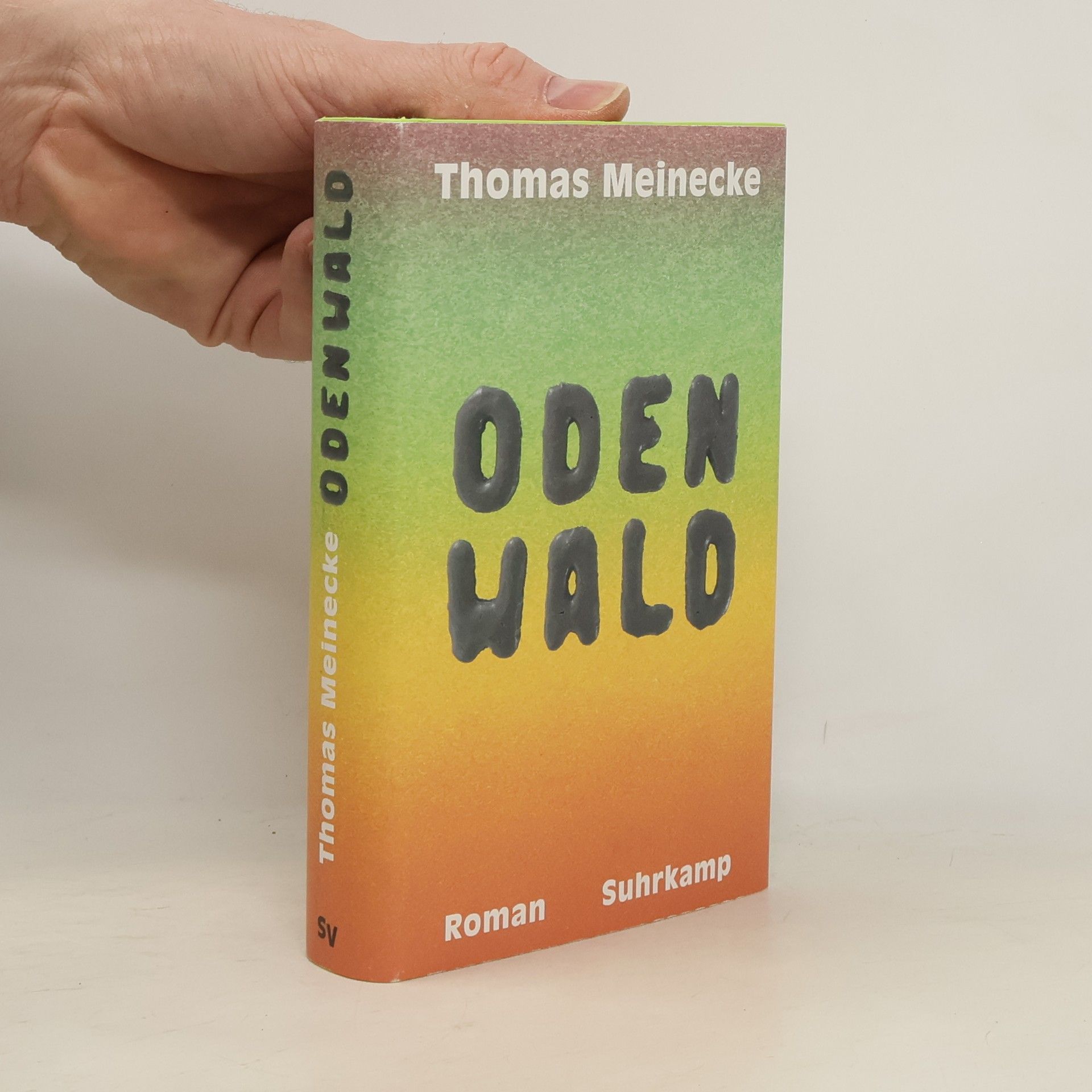 Thomas Meinecke Odenwald