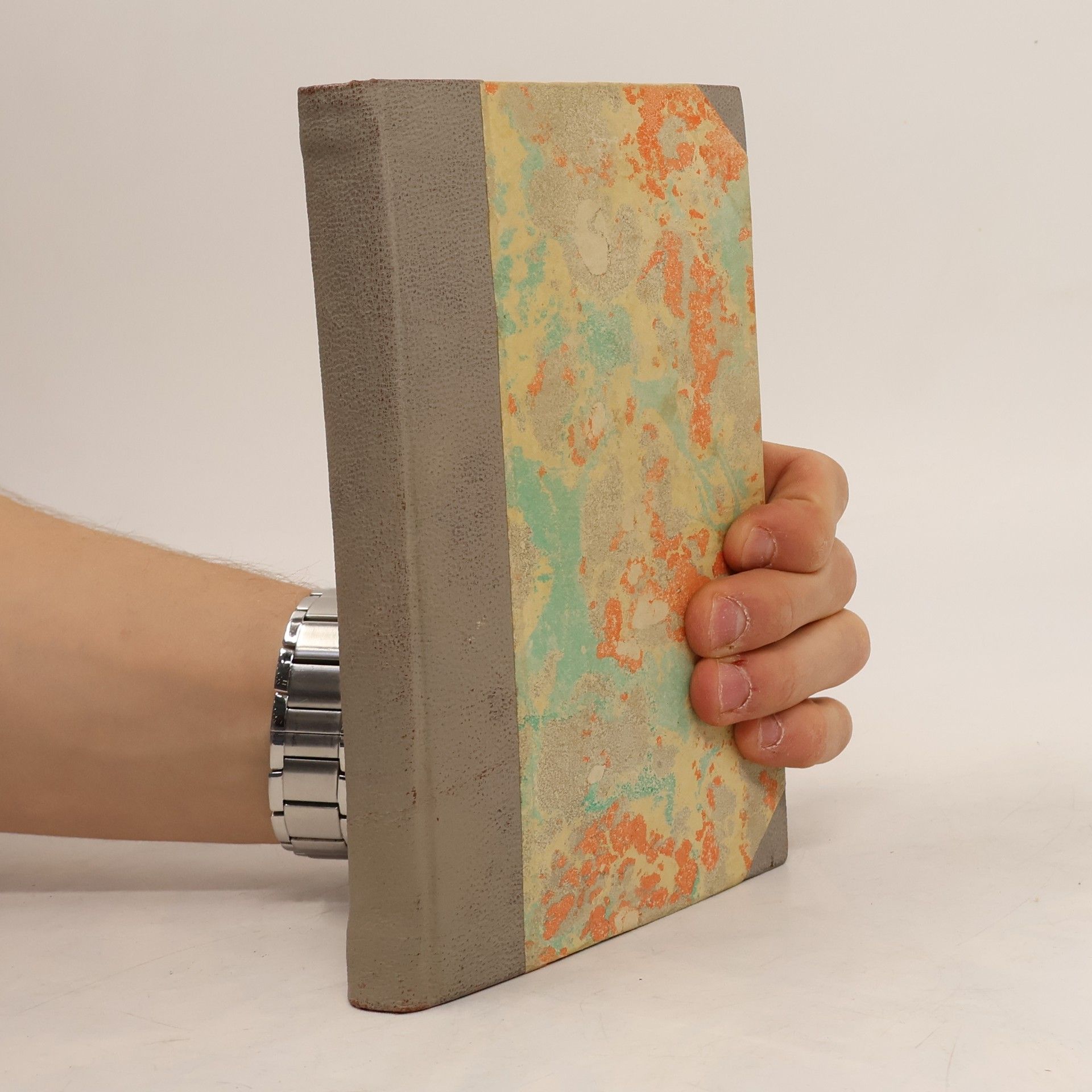 Kočí Tom. Poprava litomyšlská