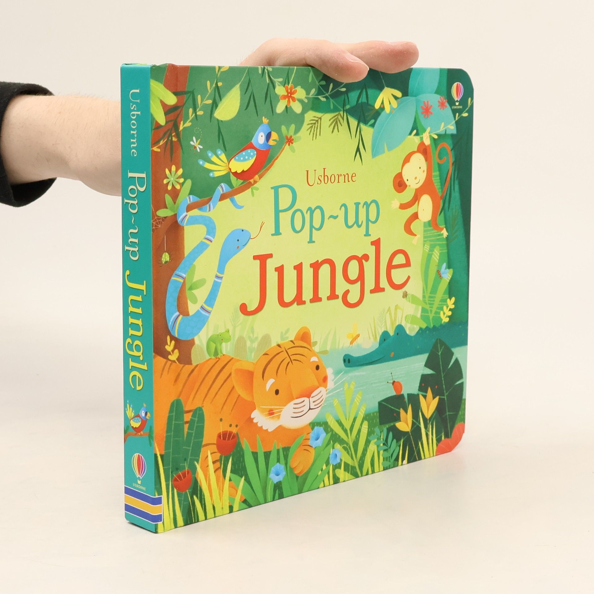 Fiona Watt Pop-up Jungle