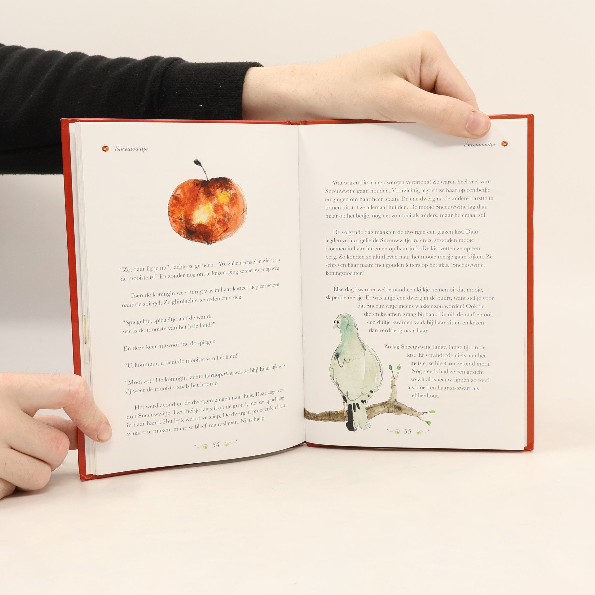 Jacob Grimm De mooiste sprookjes van Grimm