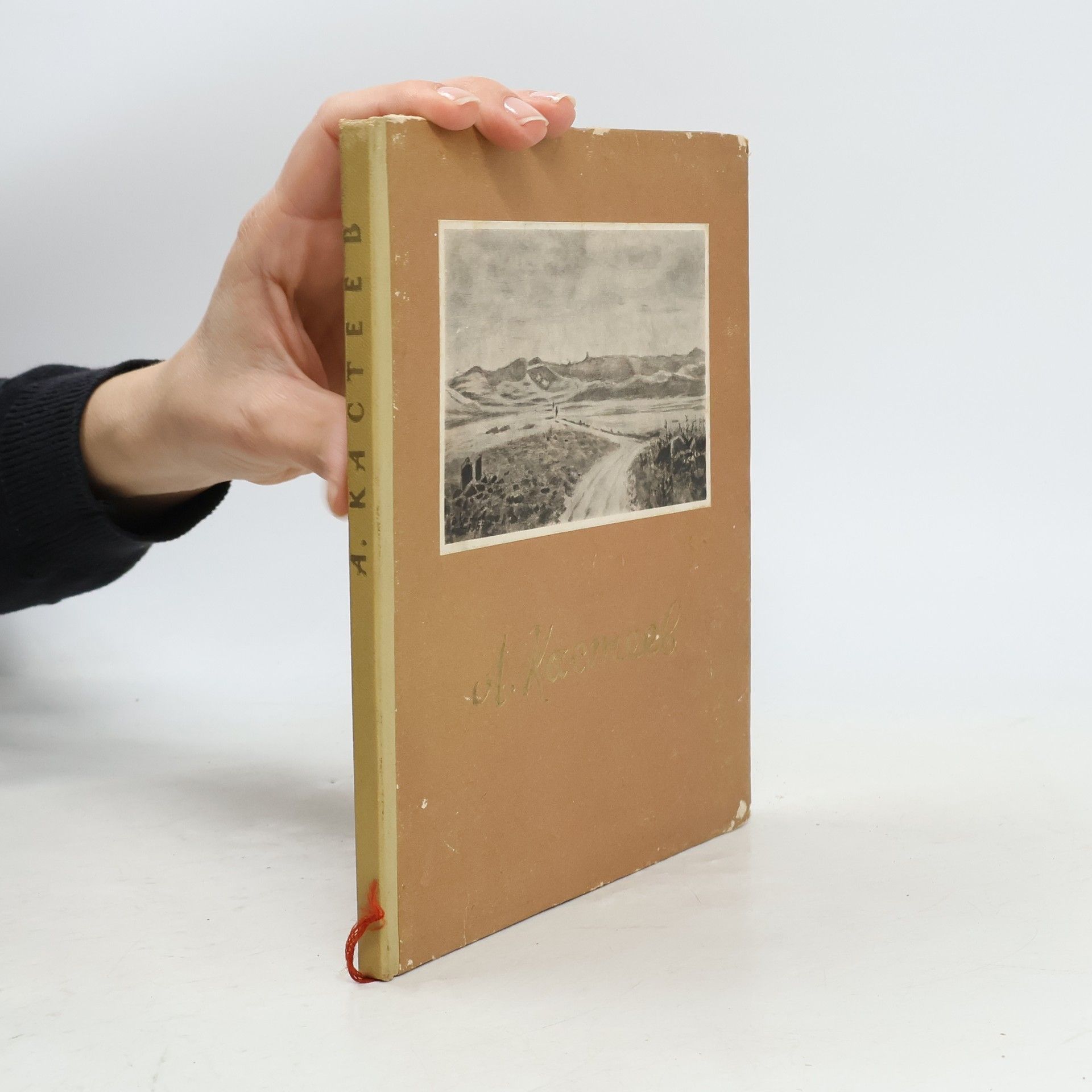 Elena Borisovna Vandrovskaja Абылхан Кастеев