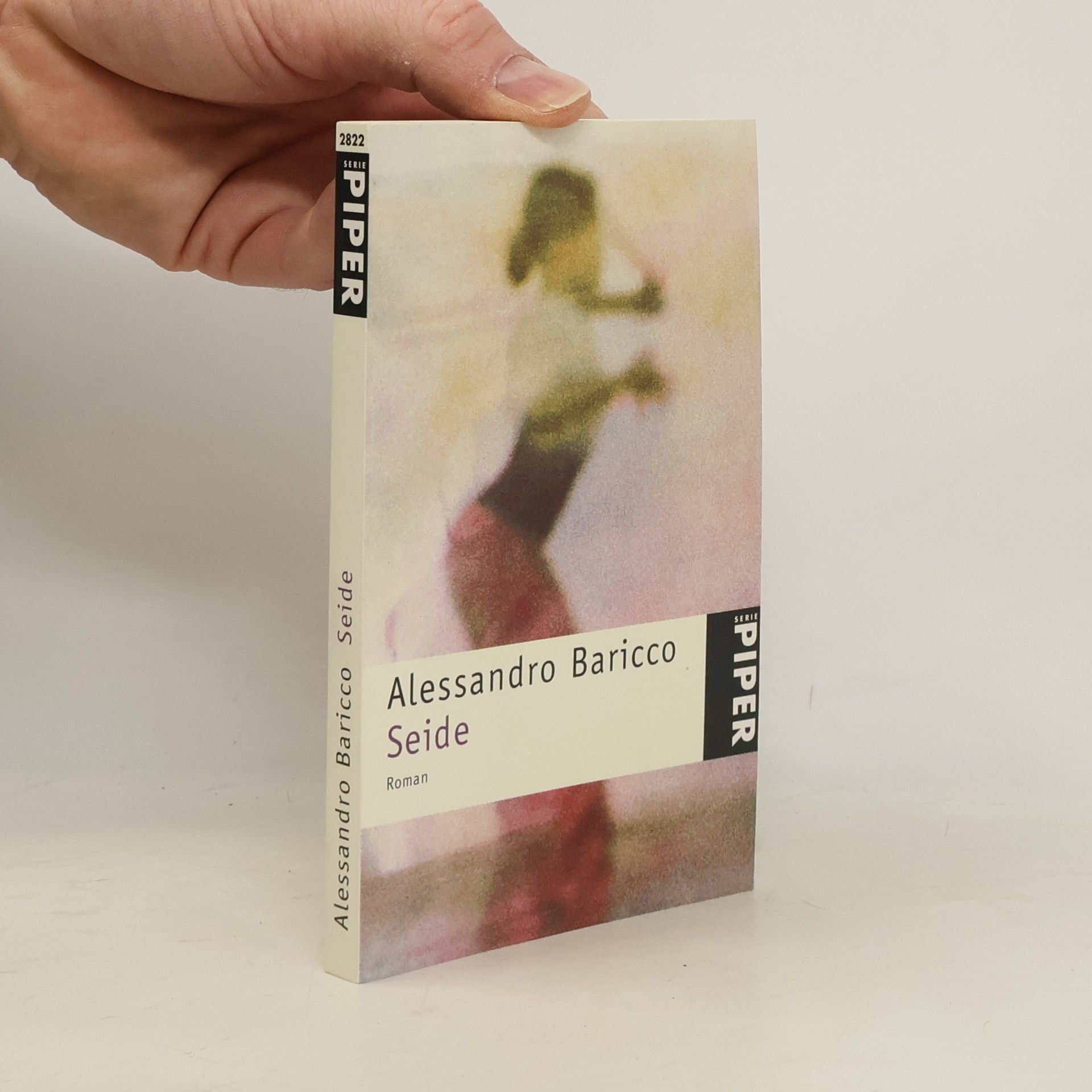 Alessandro Baricco Seide
