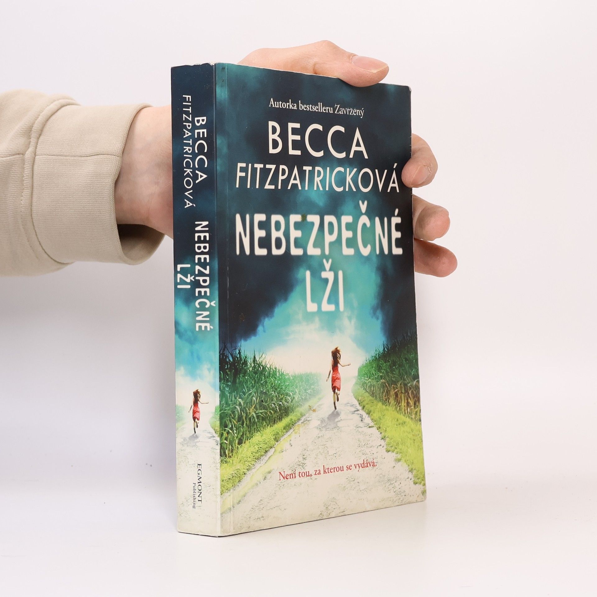 Becca Fitzpatrick Nebezpečné lži