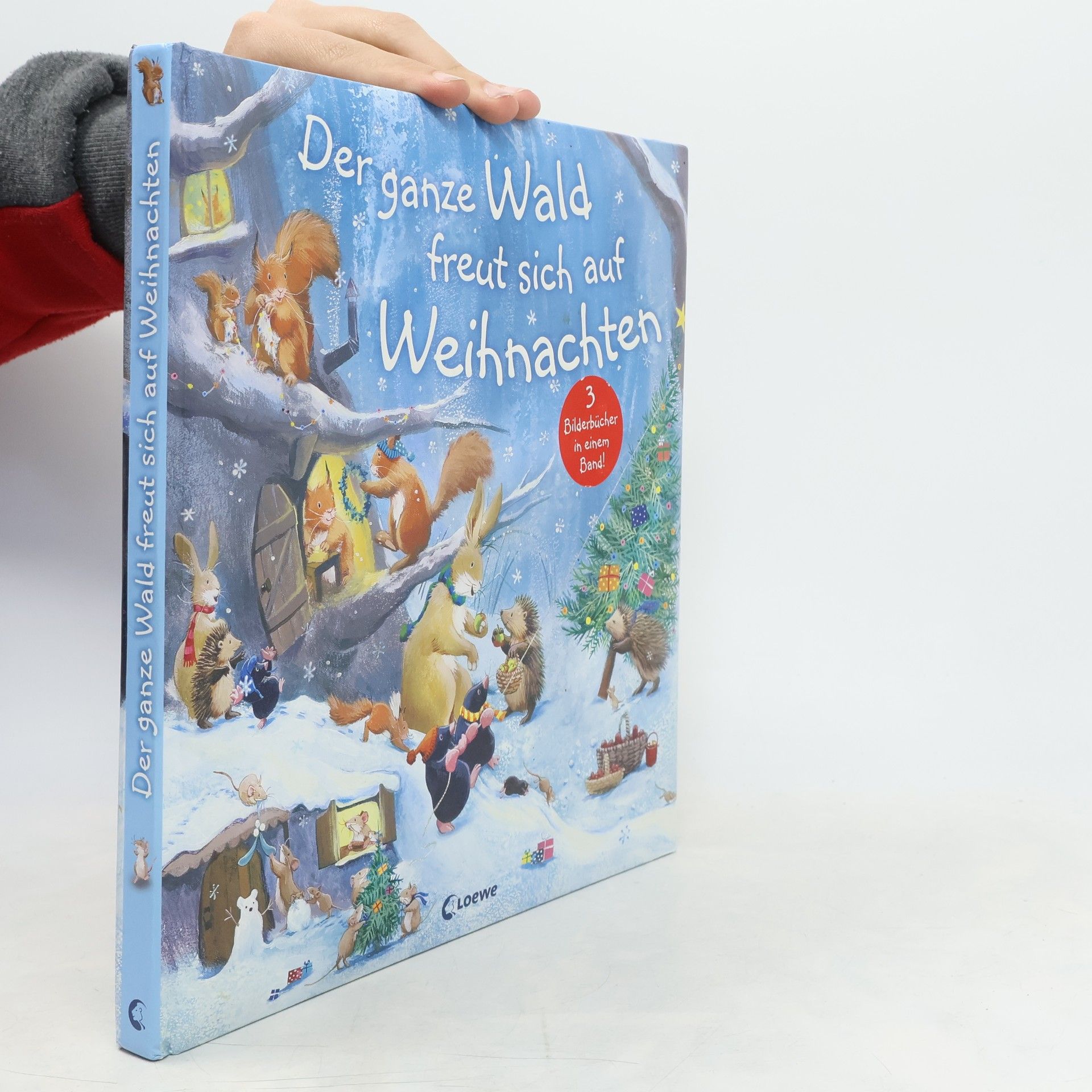 Tim Warnes Der ganze Wald freut sich auf Weihnachten