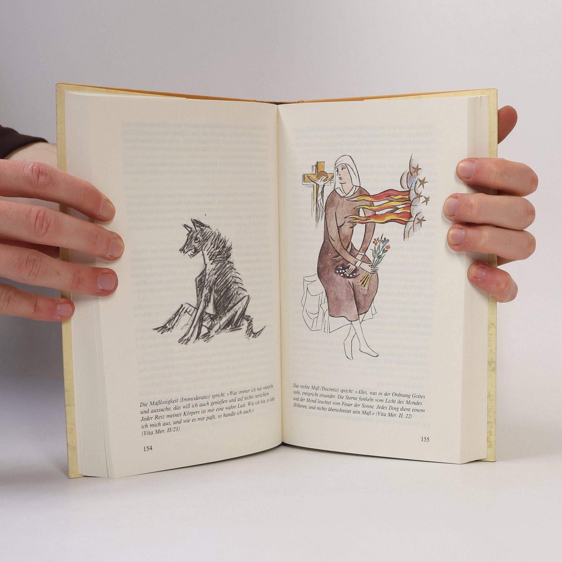 Gottfried Hertzka Handbuch der Hildegard-Medizin