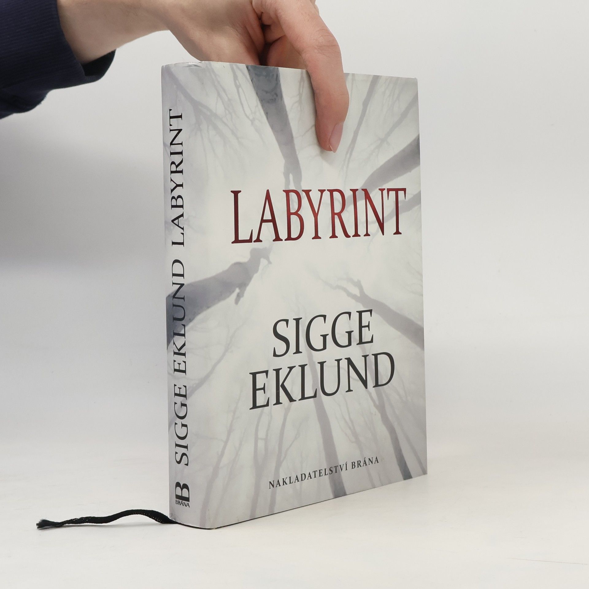 Sigge Eklund Labyrint