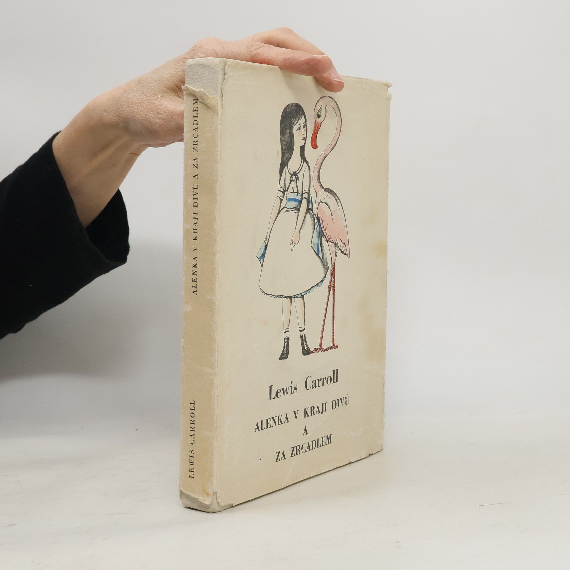 Lewis Carroll Alenka v kraji divů a za zrcadlem