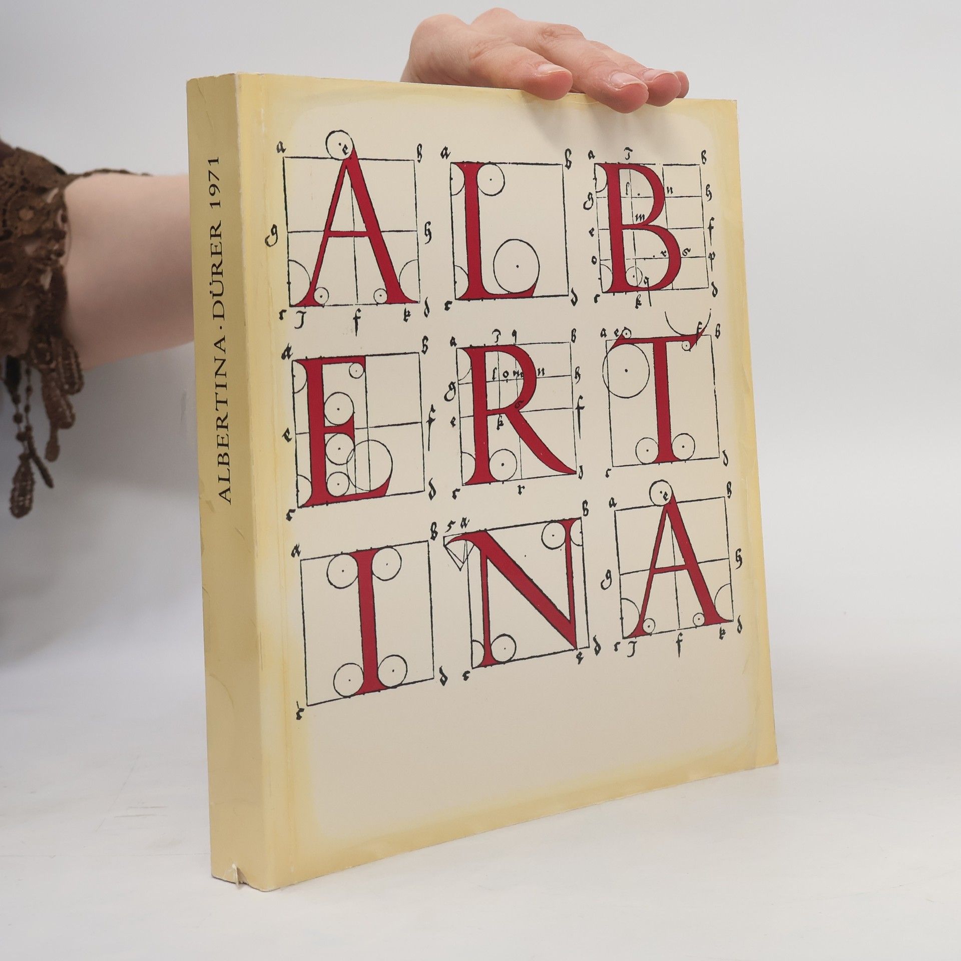 Kolektiv autorů Die Dürerzeichnungen der Albertina