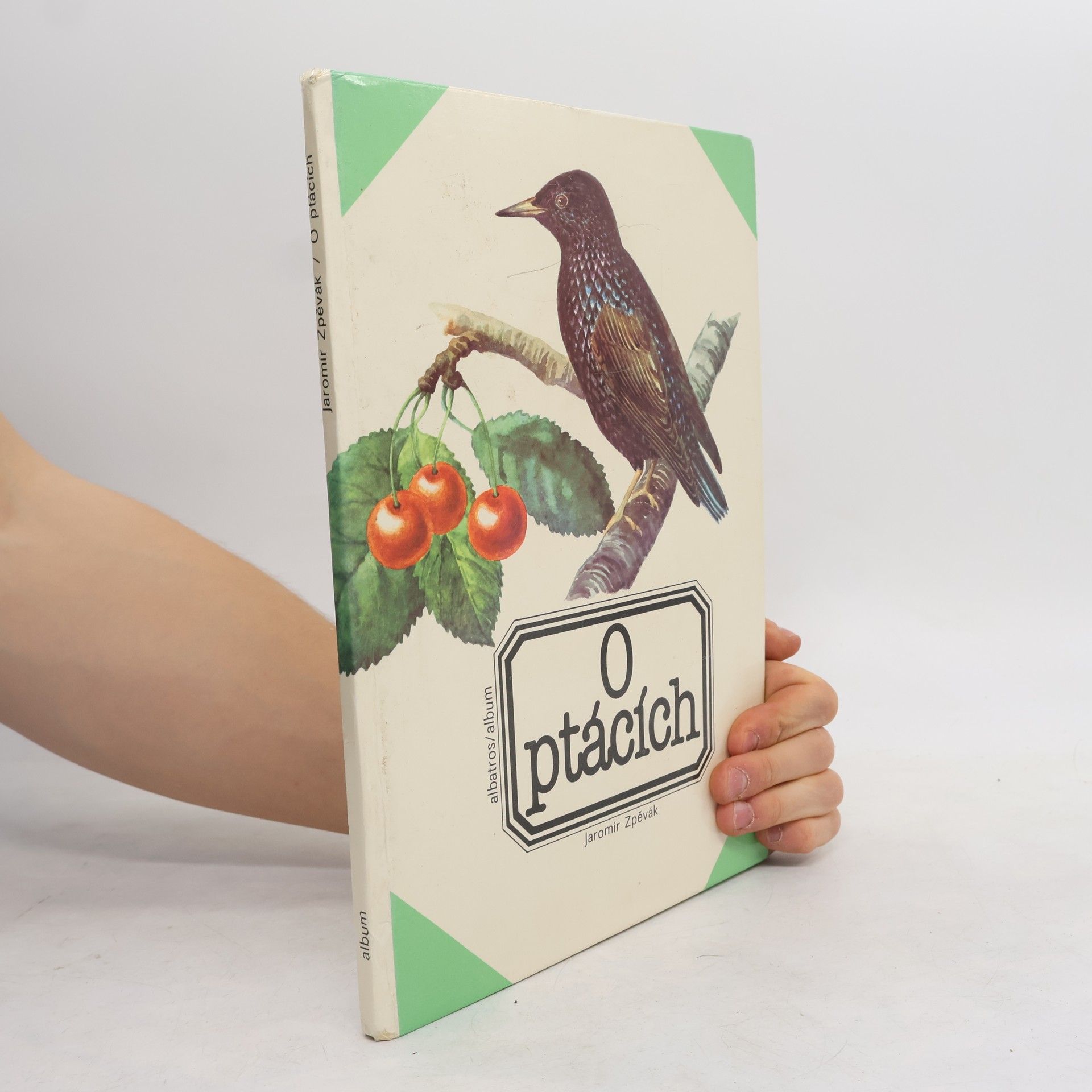Jaromír Zpěvák O ptácích