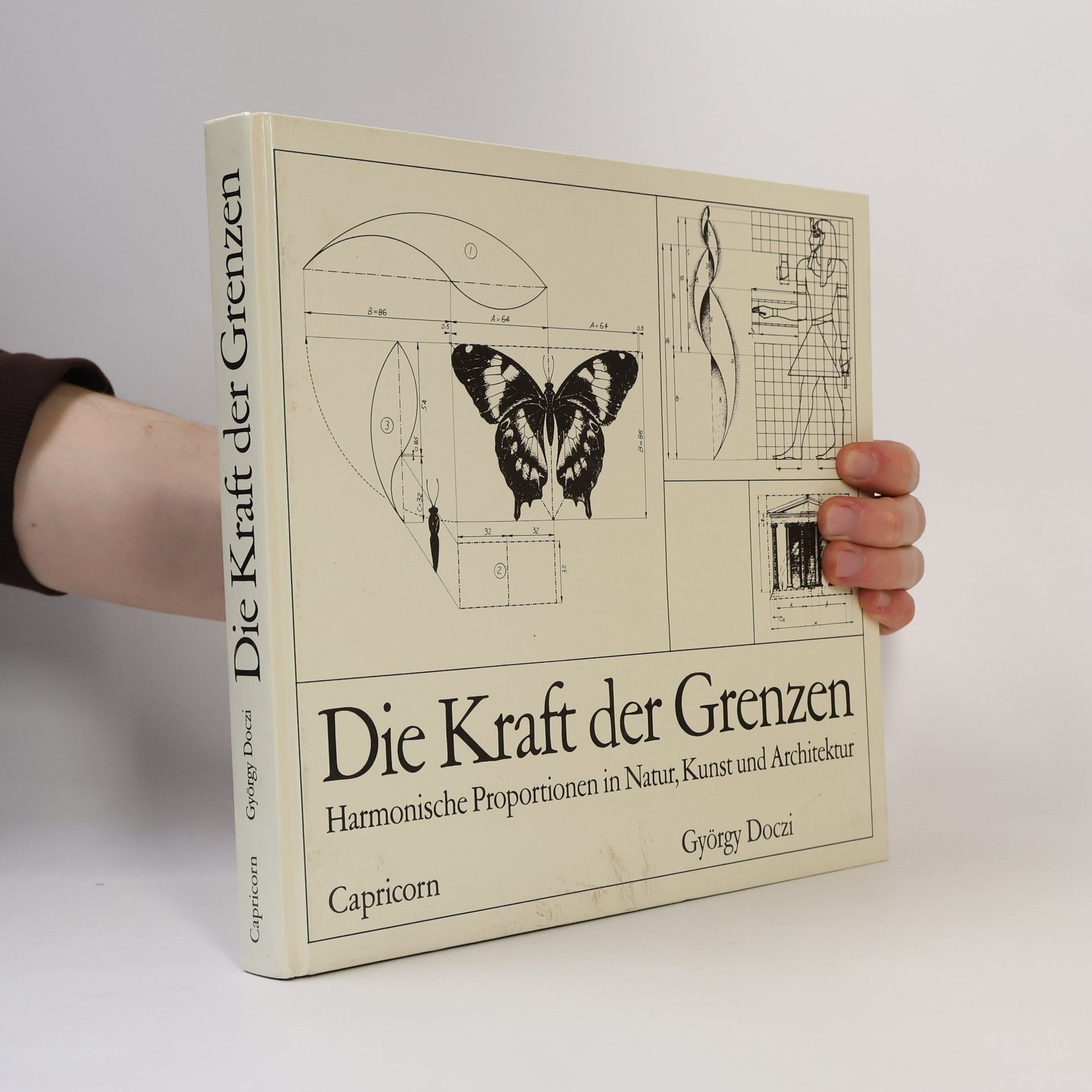 György Doczi Die Kraft der Grenzen