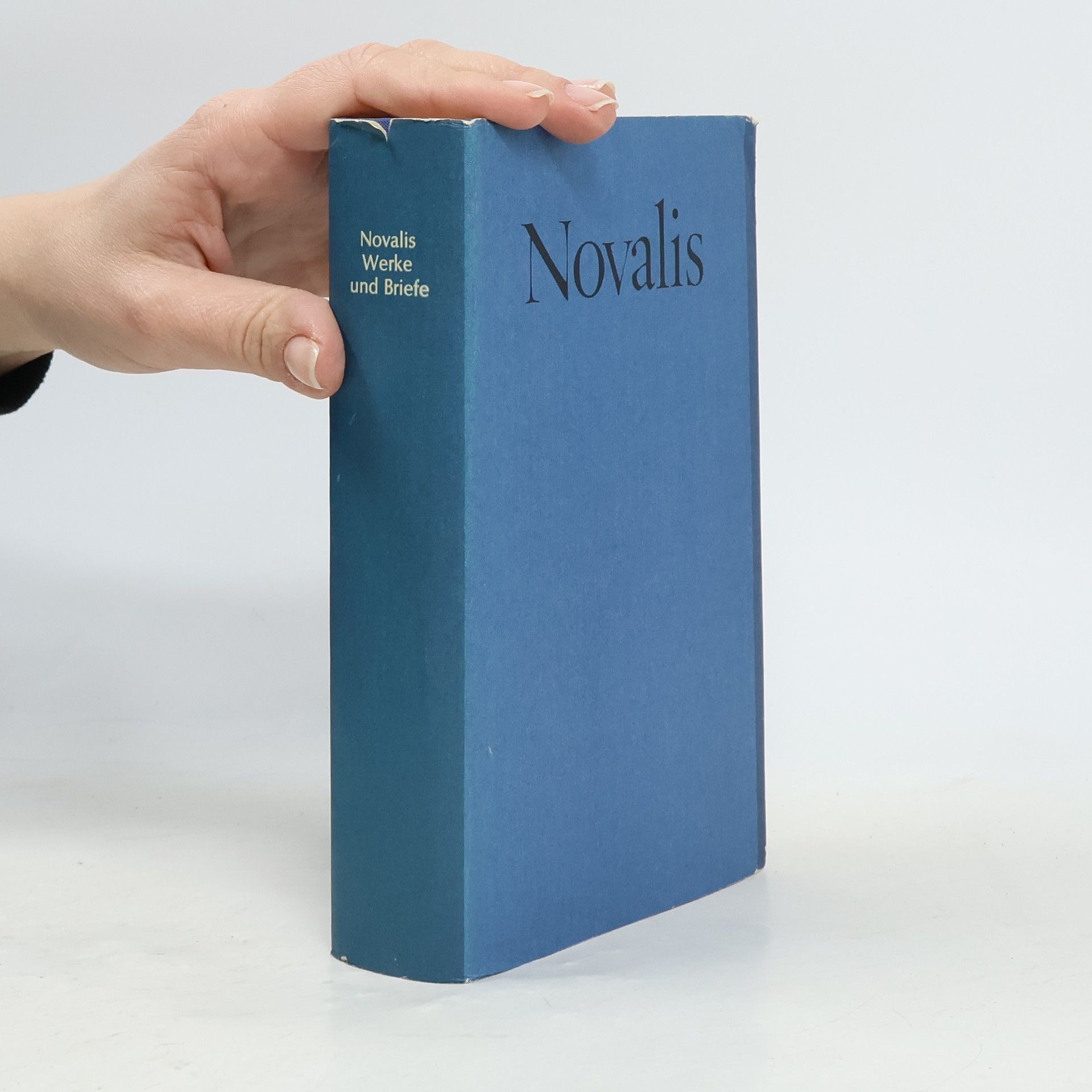 Novalis Novalis. Werke und Briefe