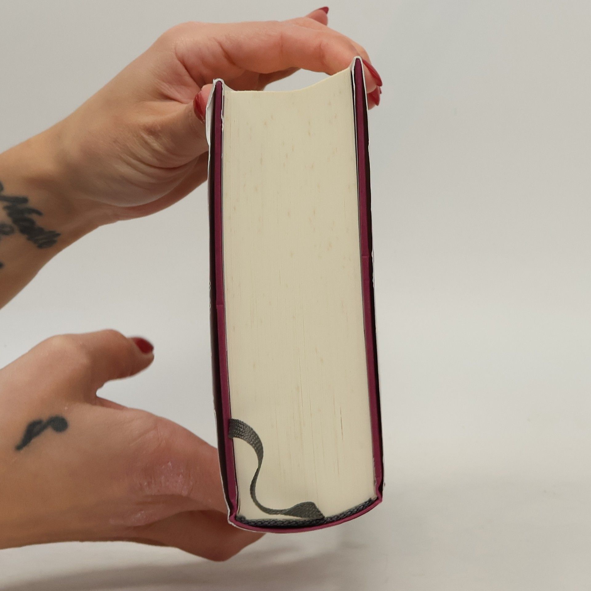 Lucinda Riley Die Mitternachtsrose