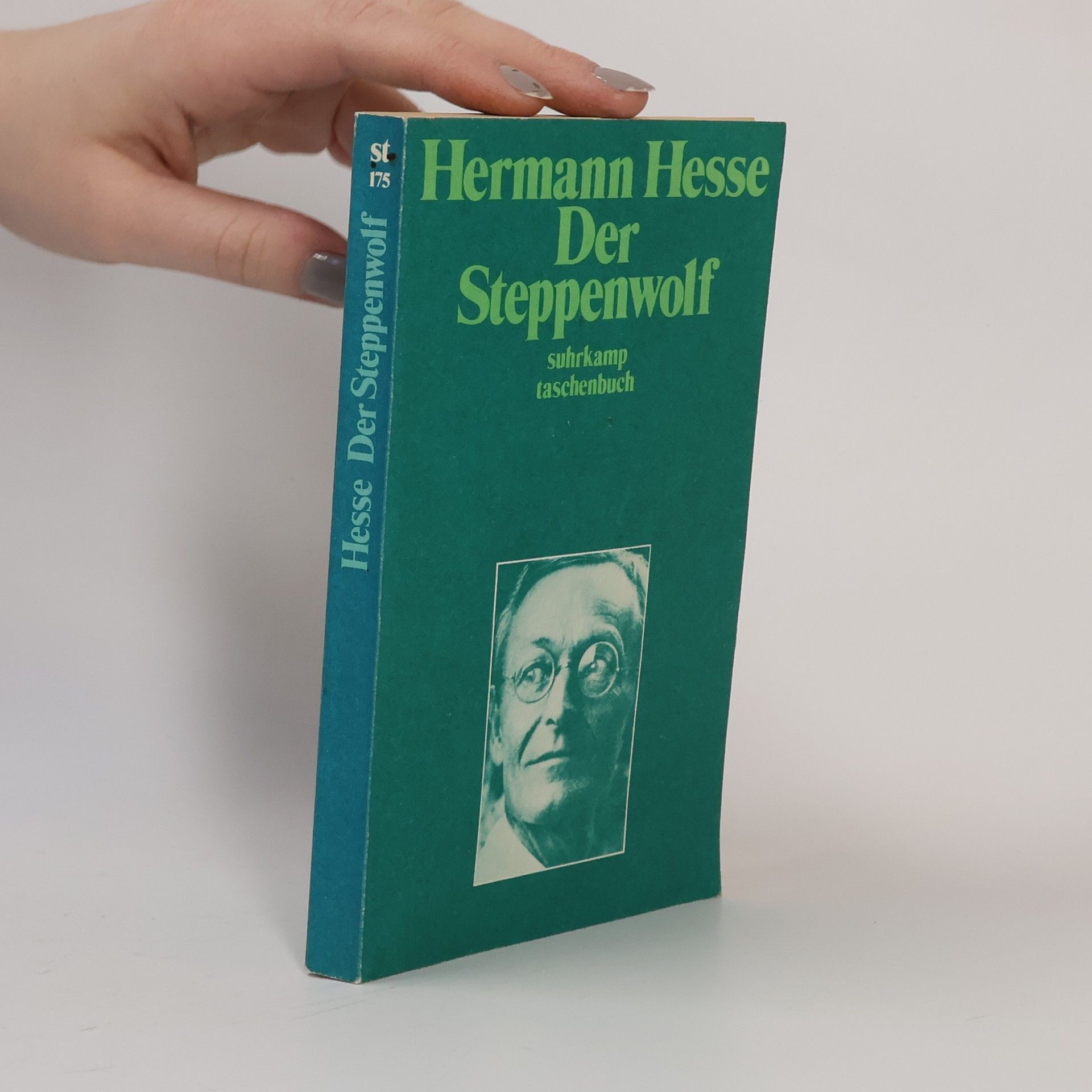 Hermann Hesse Der Steppenwolf