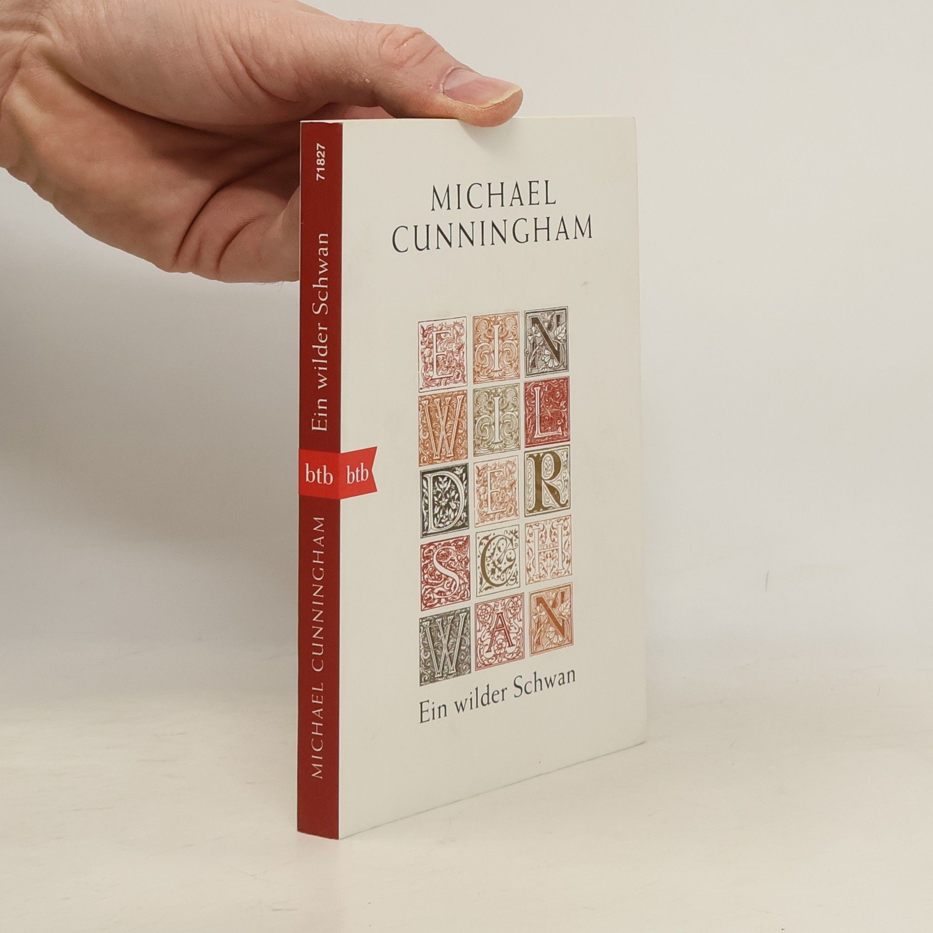 Michael Cunningham Ein wilder Schwan