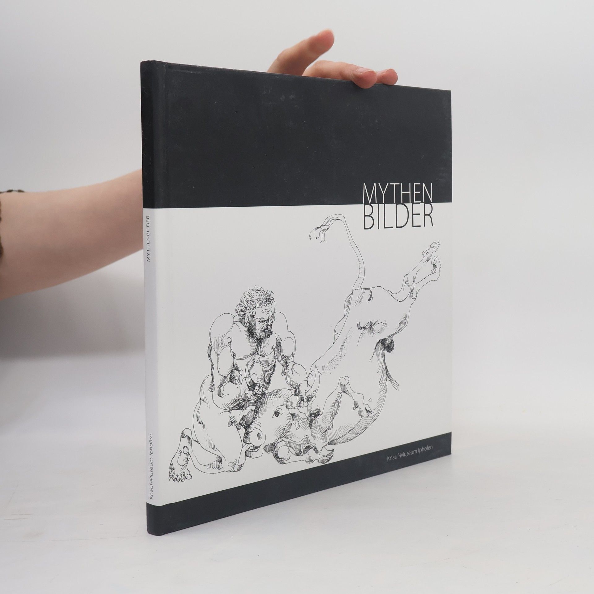 Markus Mergenthaler MythenBilder