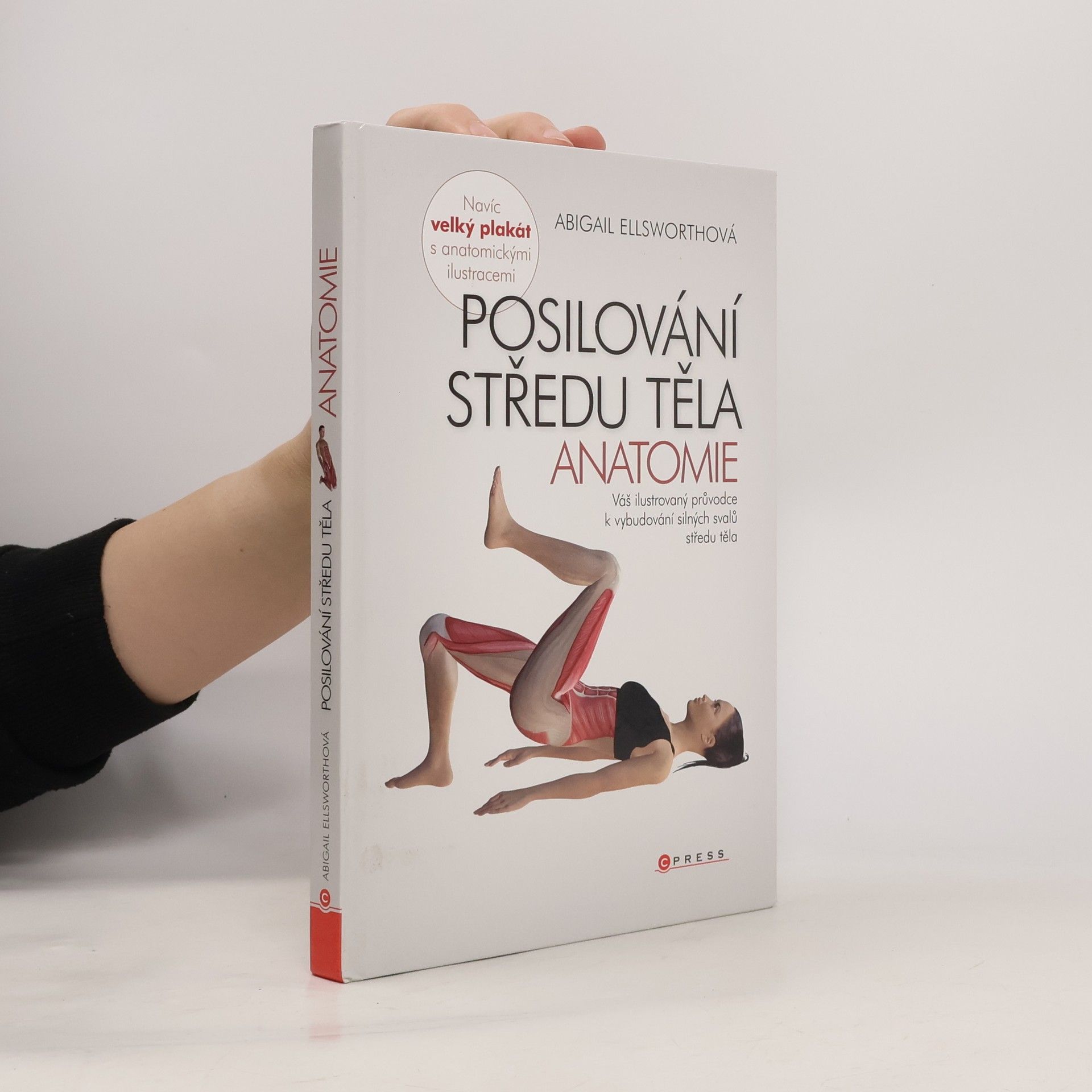 Abby Ellsworth Posilování středu těla - anatomie