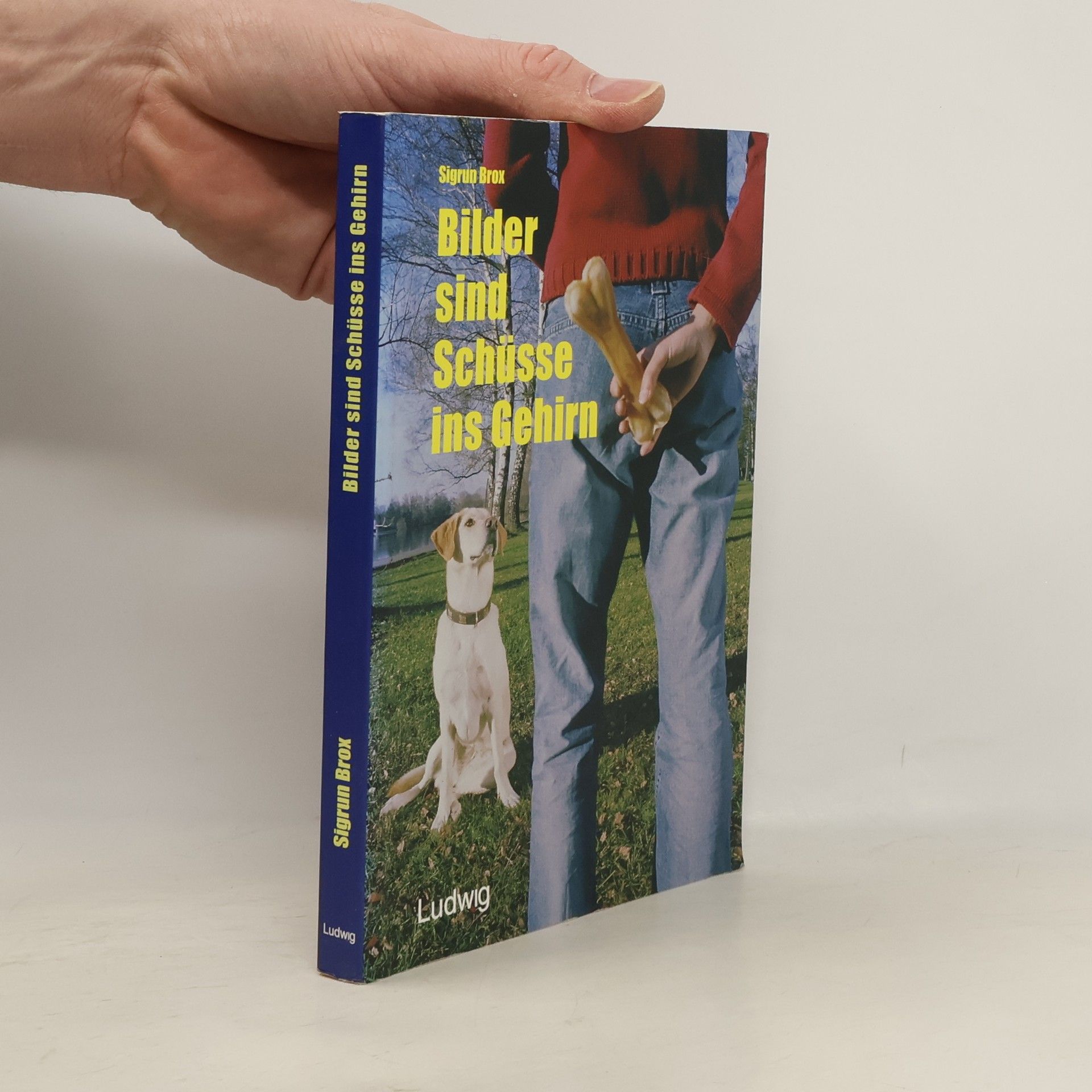 Sigrun Brox Bilder sind Schüsse ins Gehirn