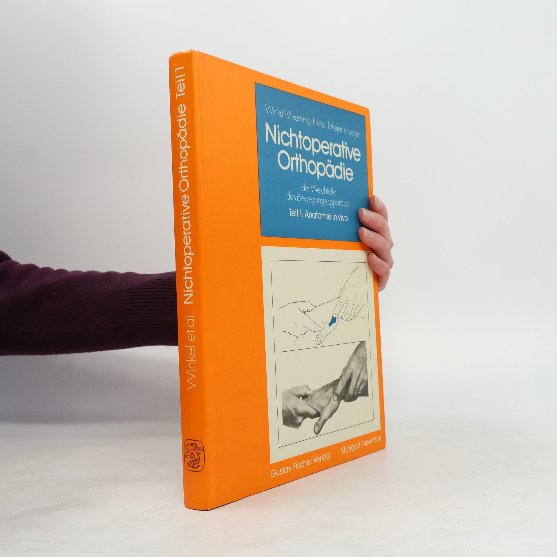 Andry Vleeming Nichtoperative Orthopädie der Weichteile des Bewegungsapparates