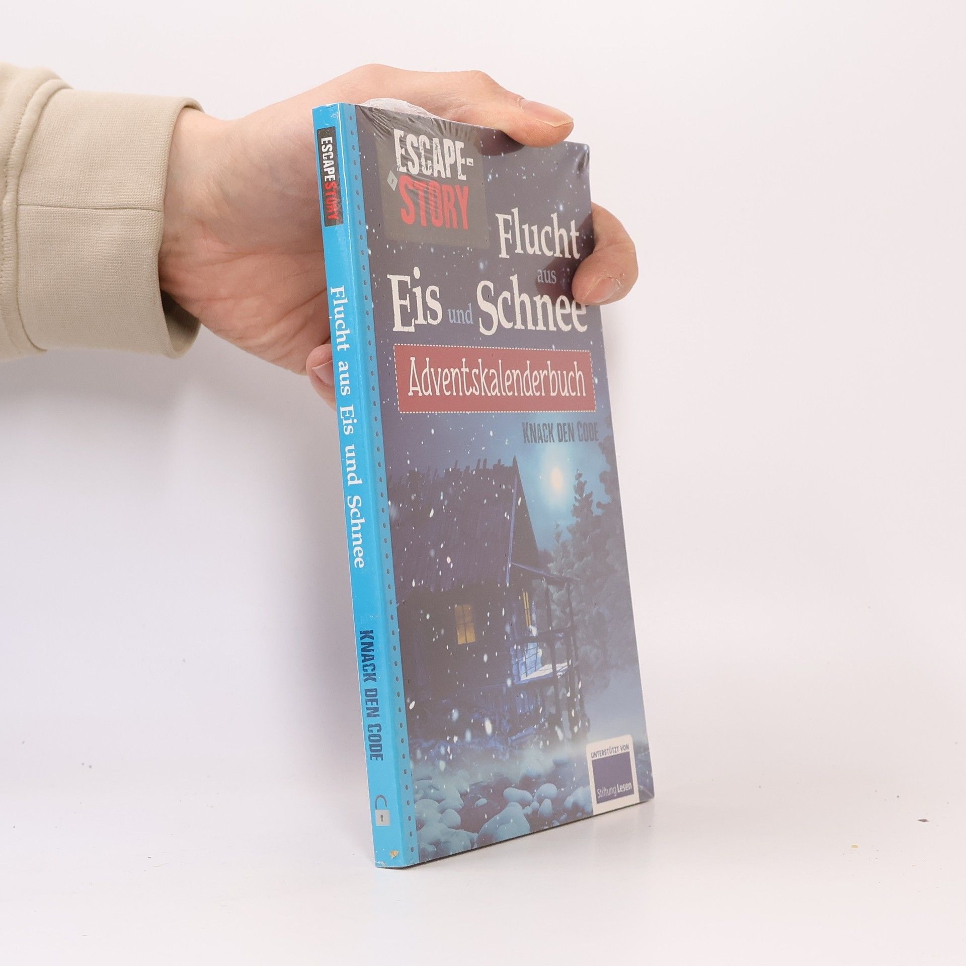 Autorenkollektiv Adventskalenderbuch Escape Story Flucht aus Eis und Schnee