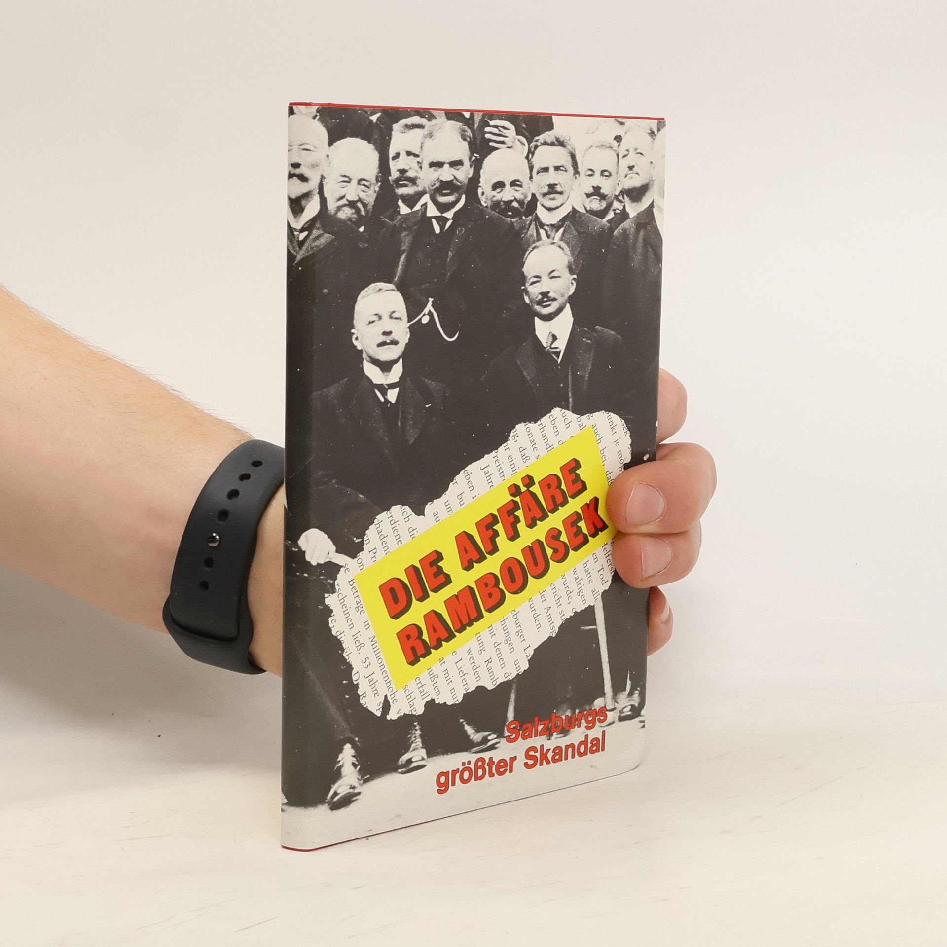 Die Affäre Rambousek