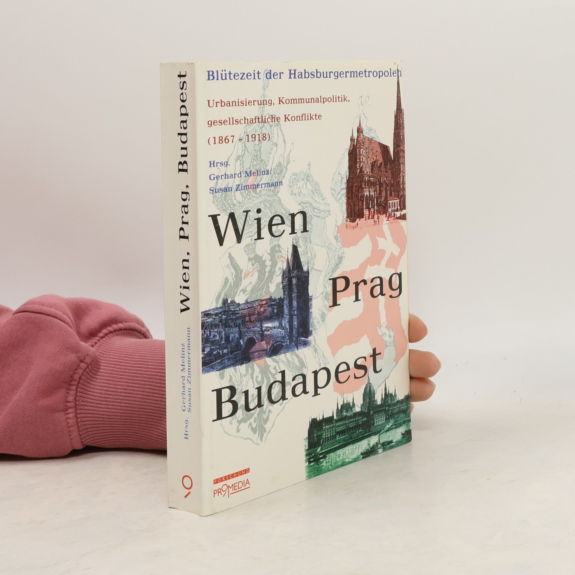 Gerhard Melinz Wien, Prag, Budapest : Blütezeit der Habsburgermetropolen : Urbanisierung, Kommunalpolitik, gesellschaftliche Konflikte (1867-1918)