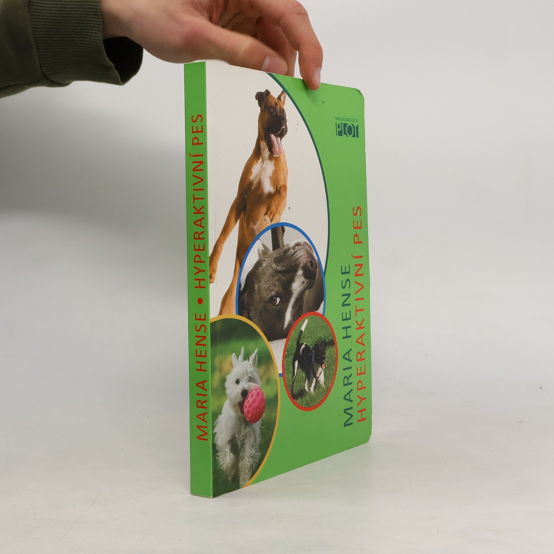 Maria Hense Hyperaktivní pes