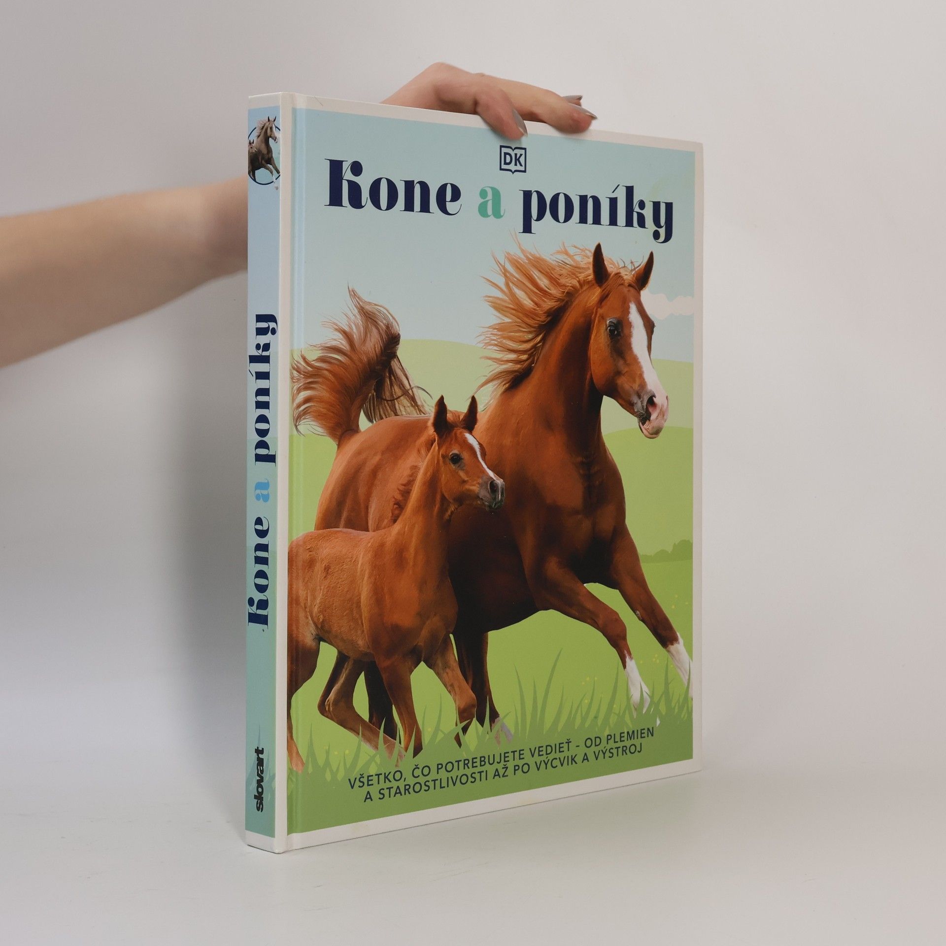 Autorenkollektiv Kone a poníky