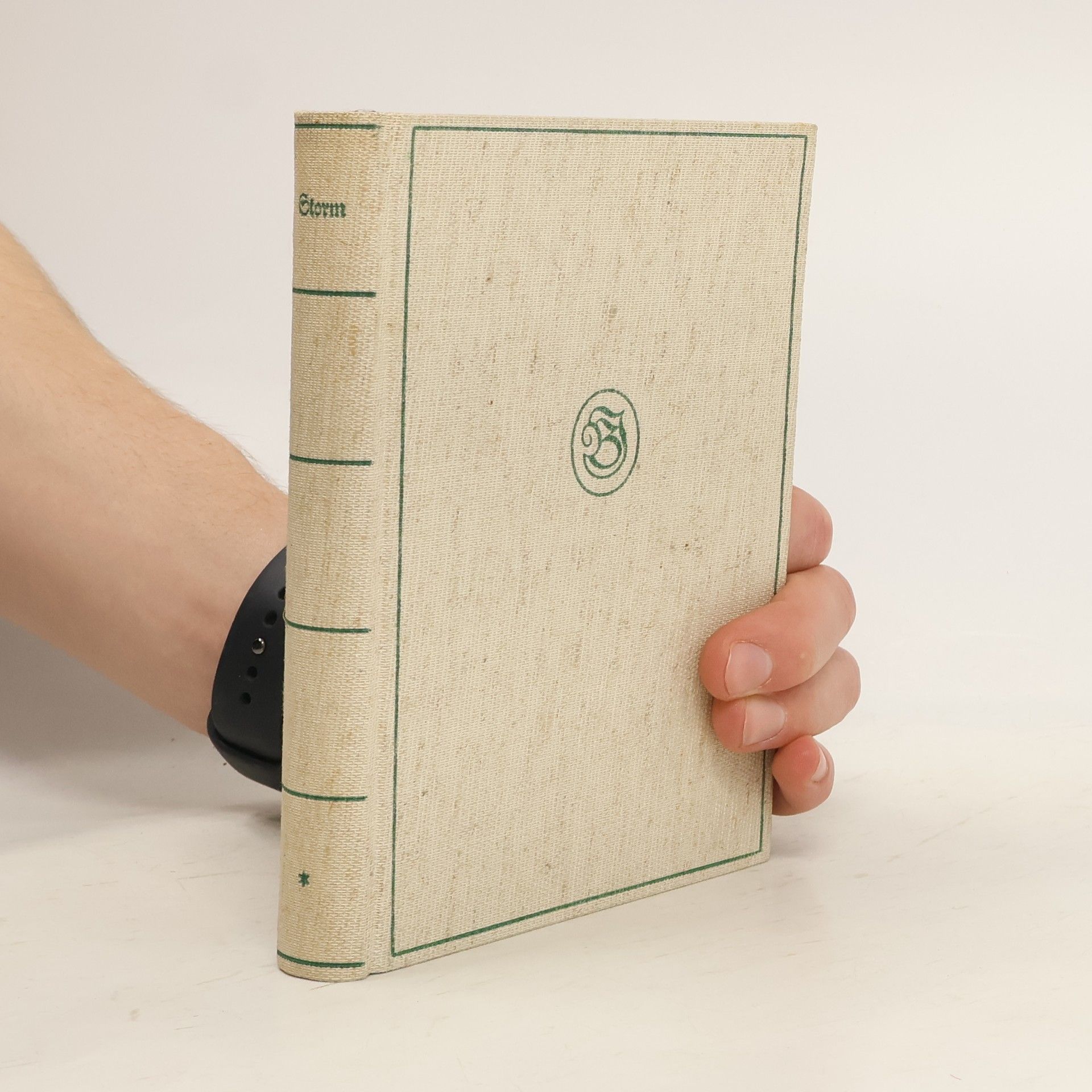 Theodor Storm Die Neue Kulturbücherei 12