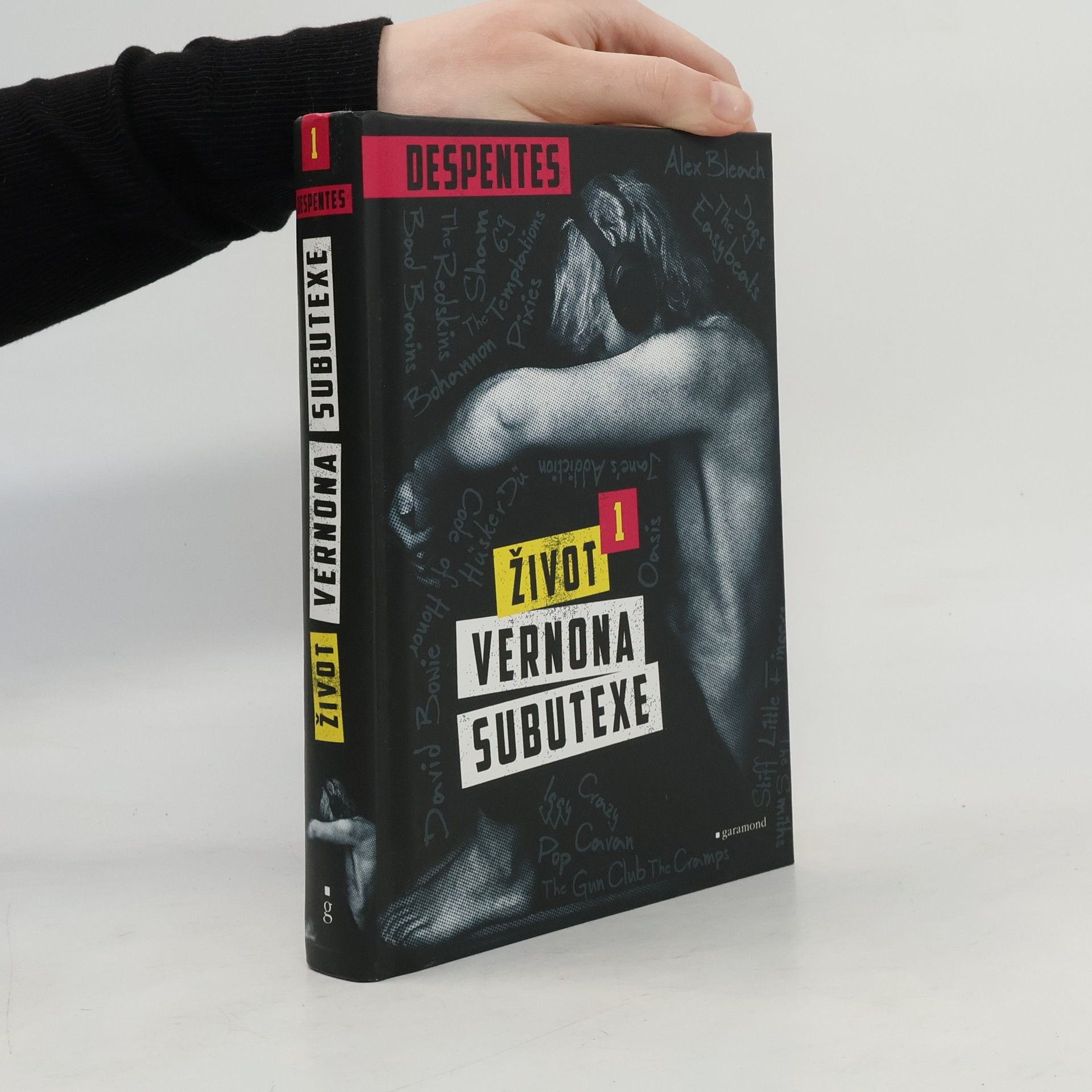 Virginie Despentes Život Vernona Subutexe. Díl 1.