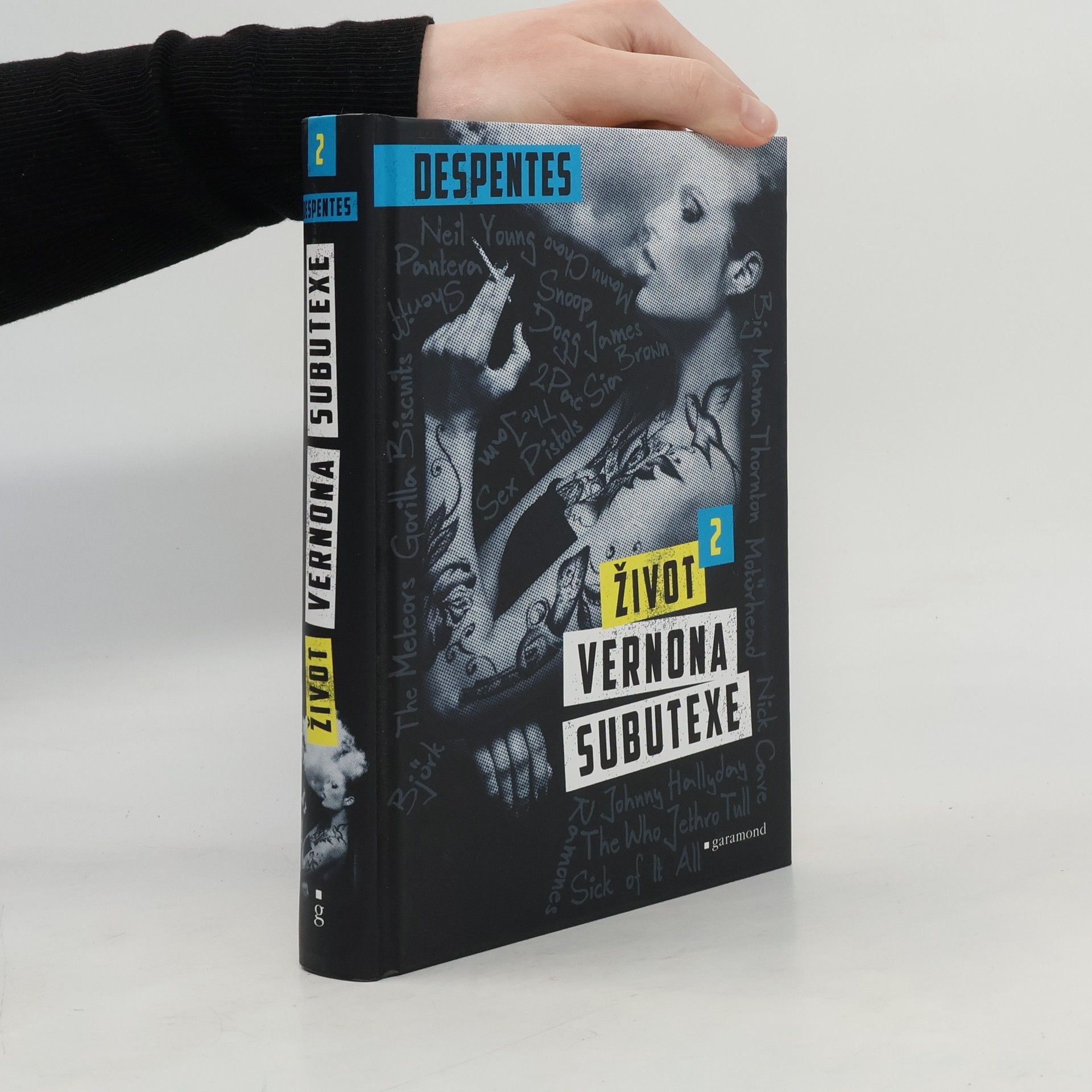 Virginie Despentes Život Vernona Subutexe. Díl 2