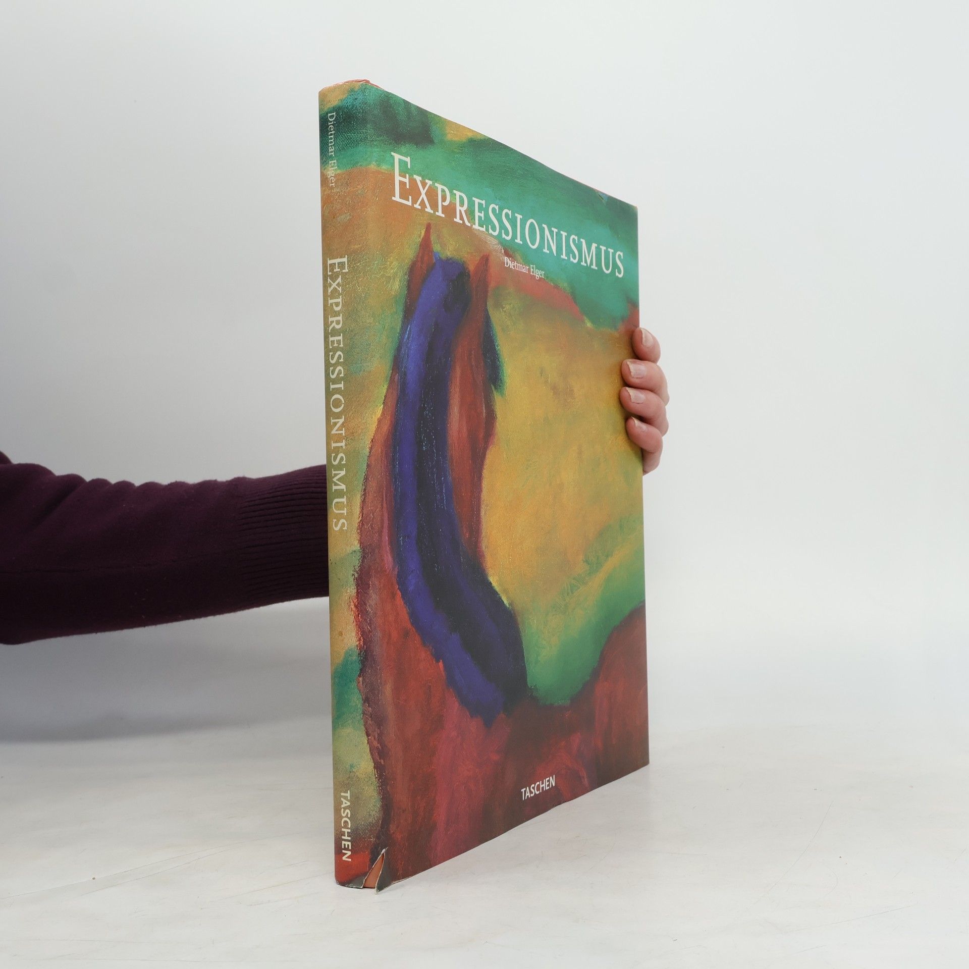 Expressionismus : eine deutsche Kunstrevolution