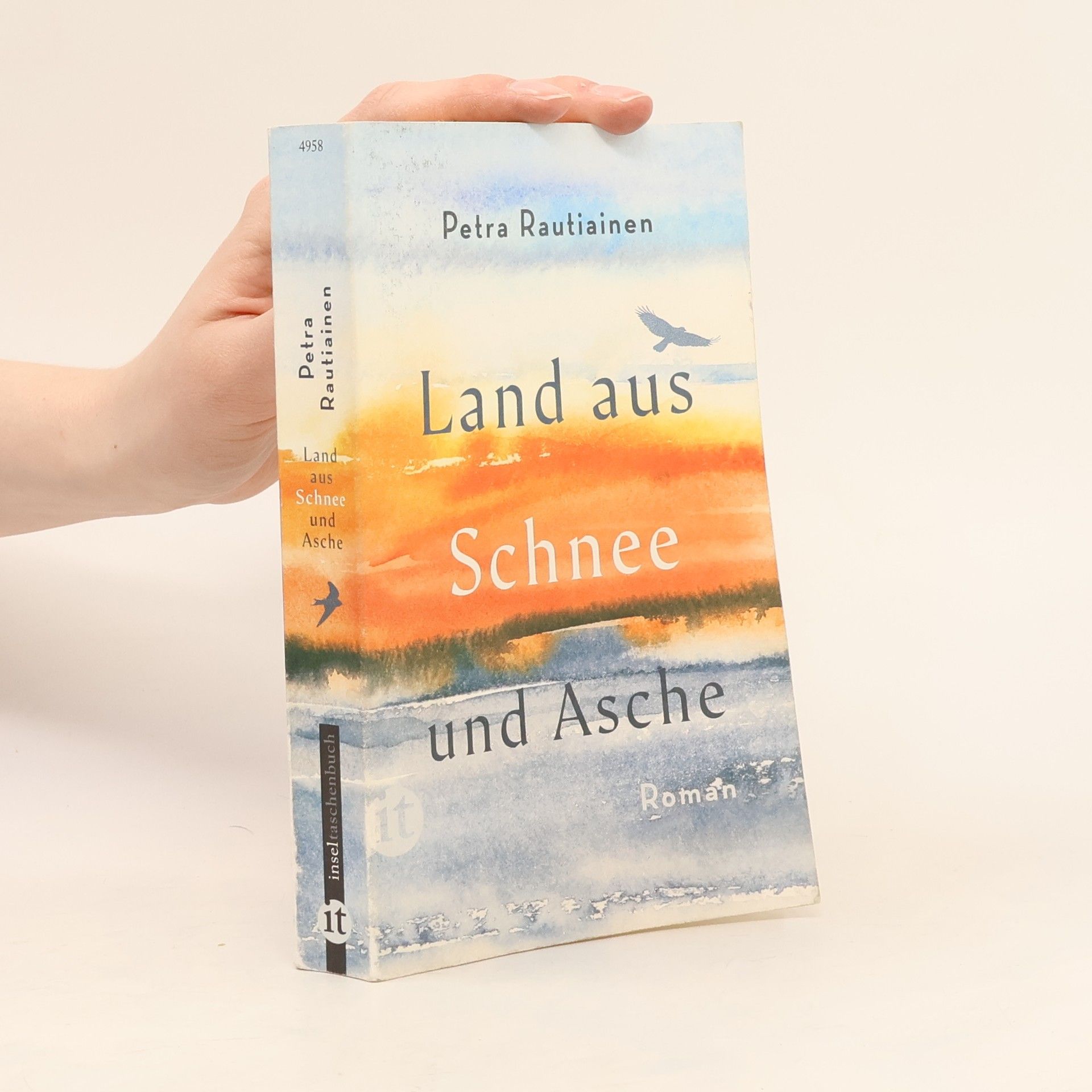 Petra Rautiainen Land aus Schnee und Asche