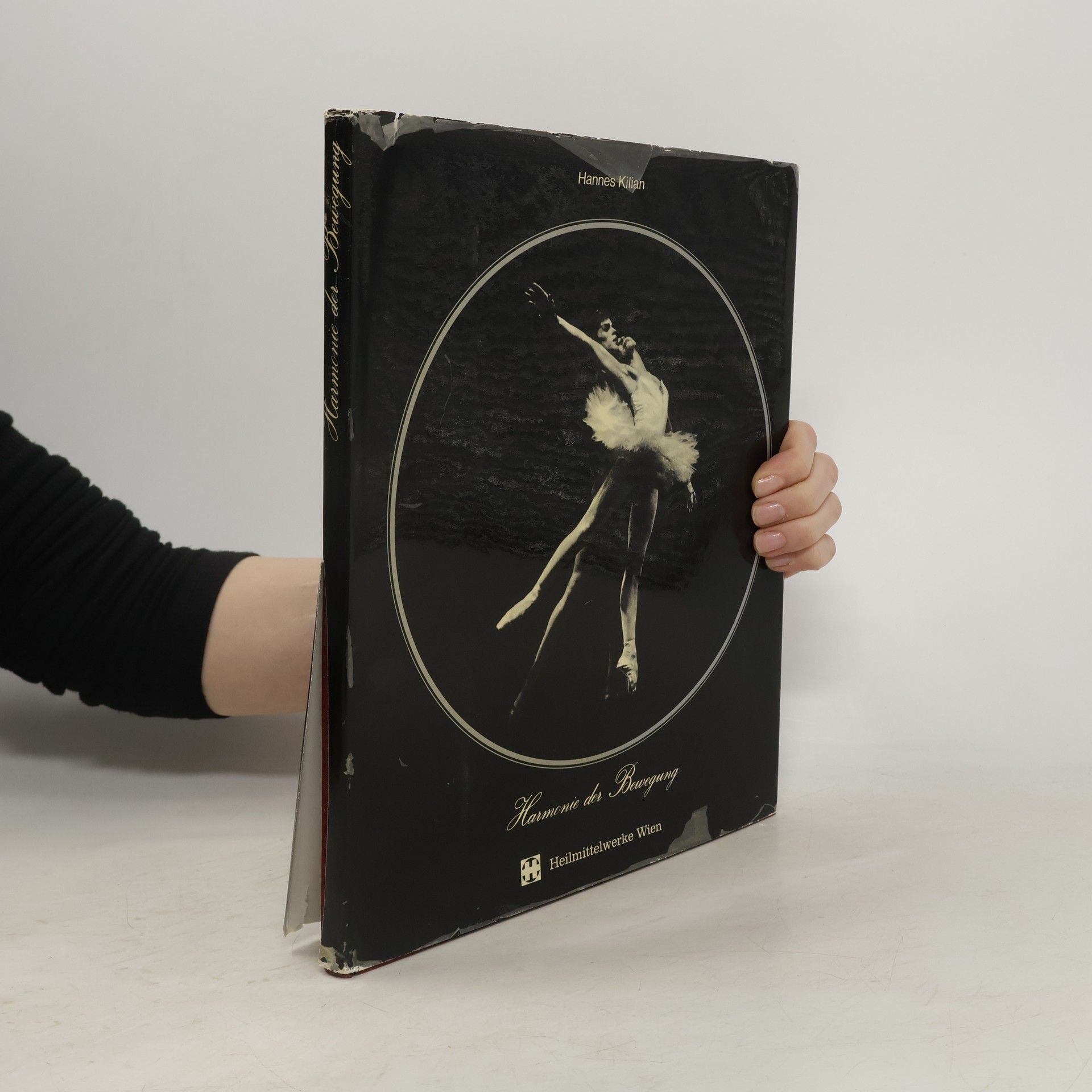 Hannes Kilian Harmonie der Bewegung