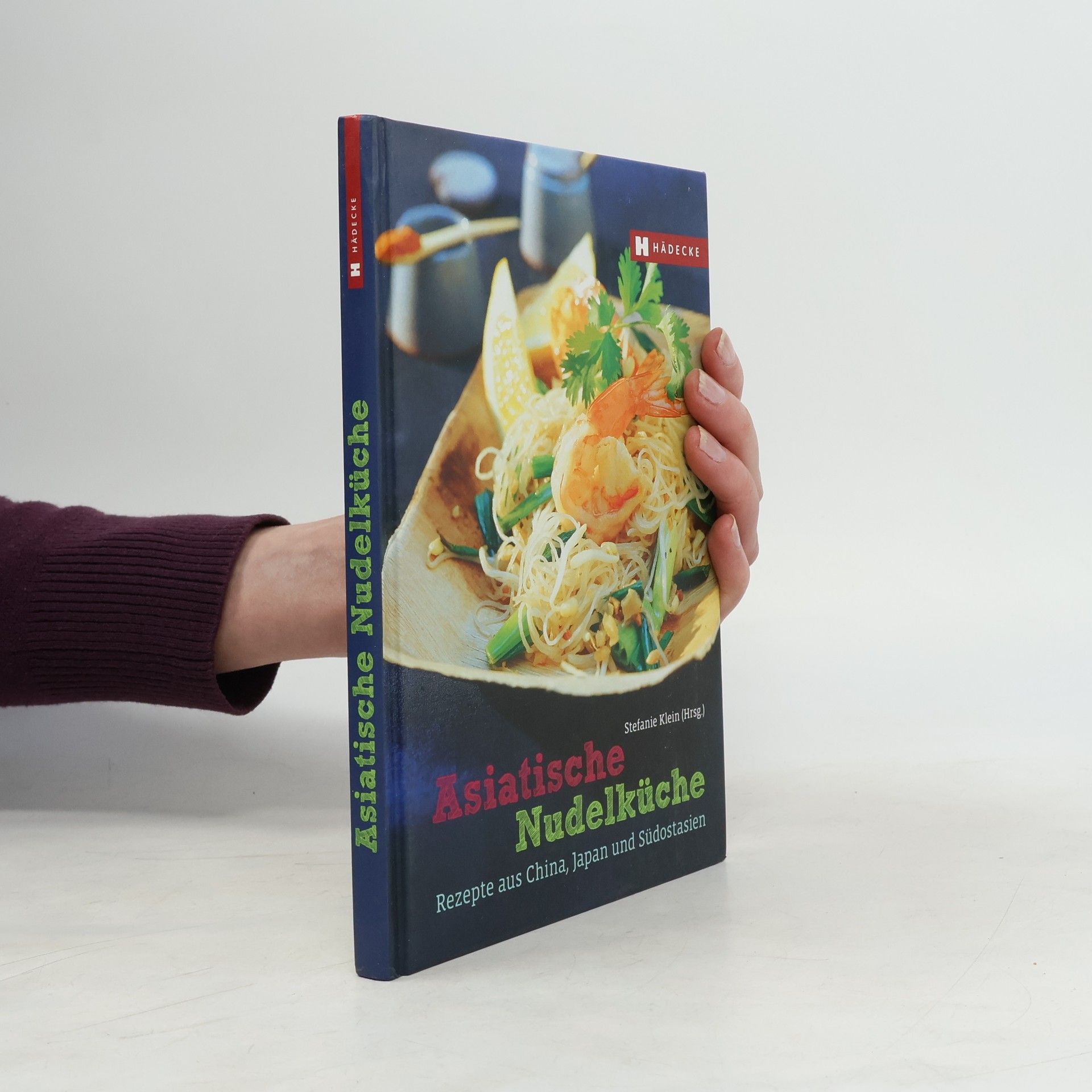 Stefanie Klein Asiatische Nudelküche