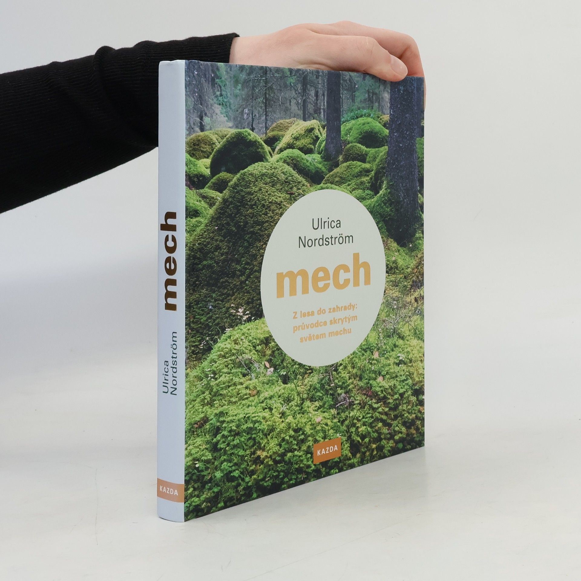 Ulrica Nordström Mech