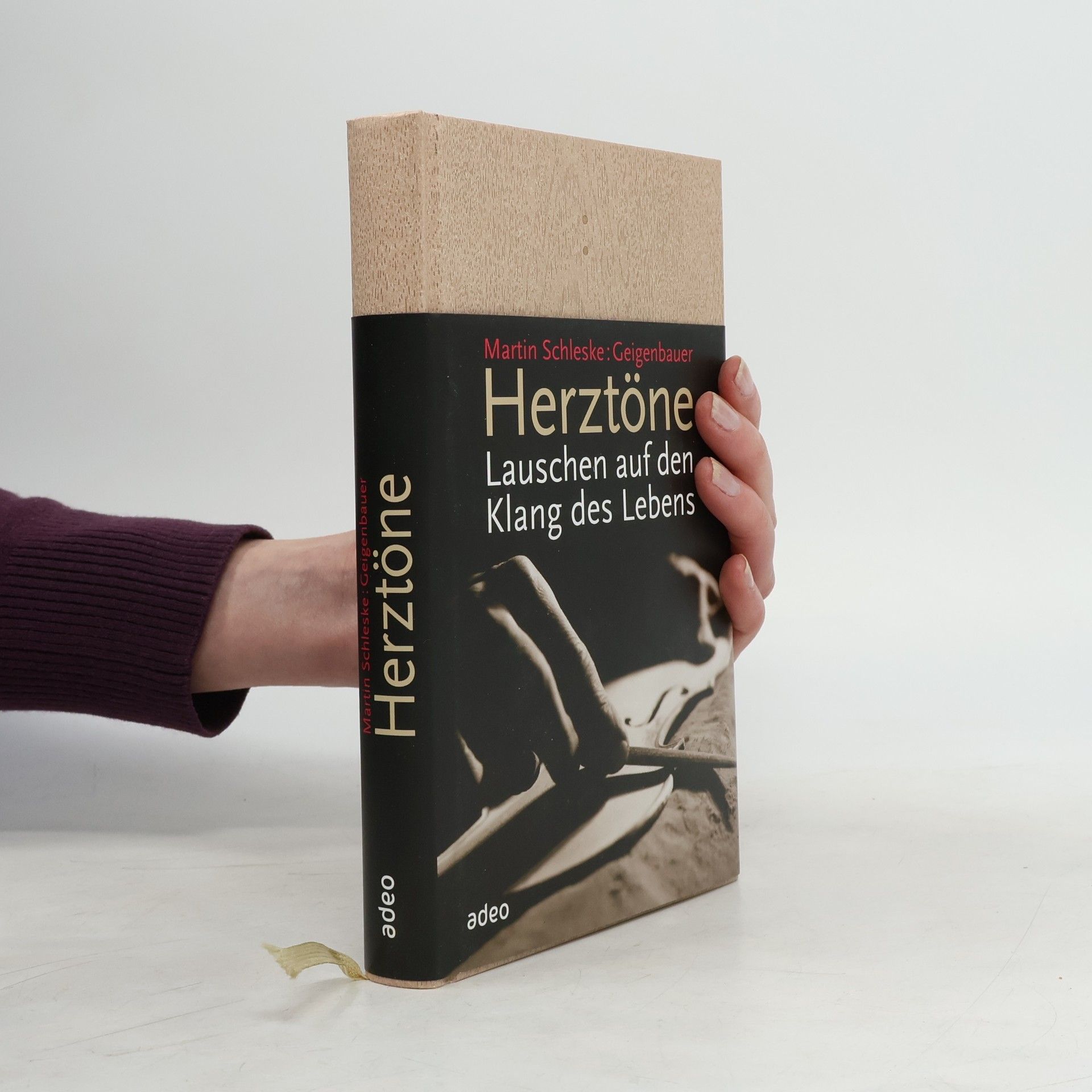 Martin Schleske Herztöne