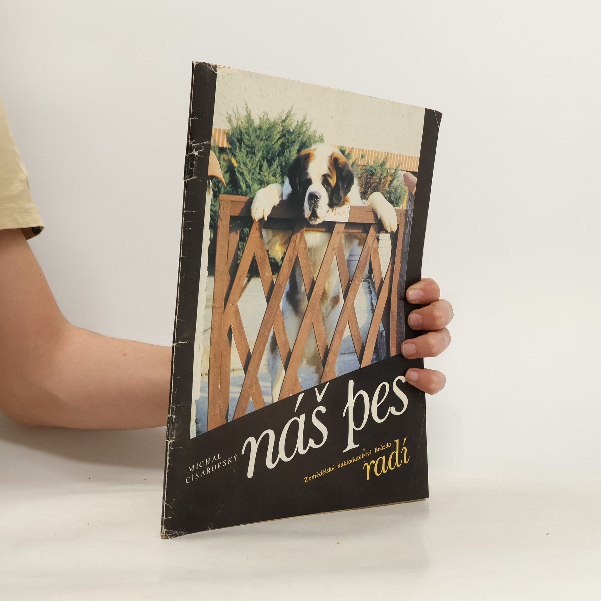 Michal Císařovský Náš pes