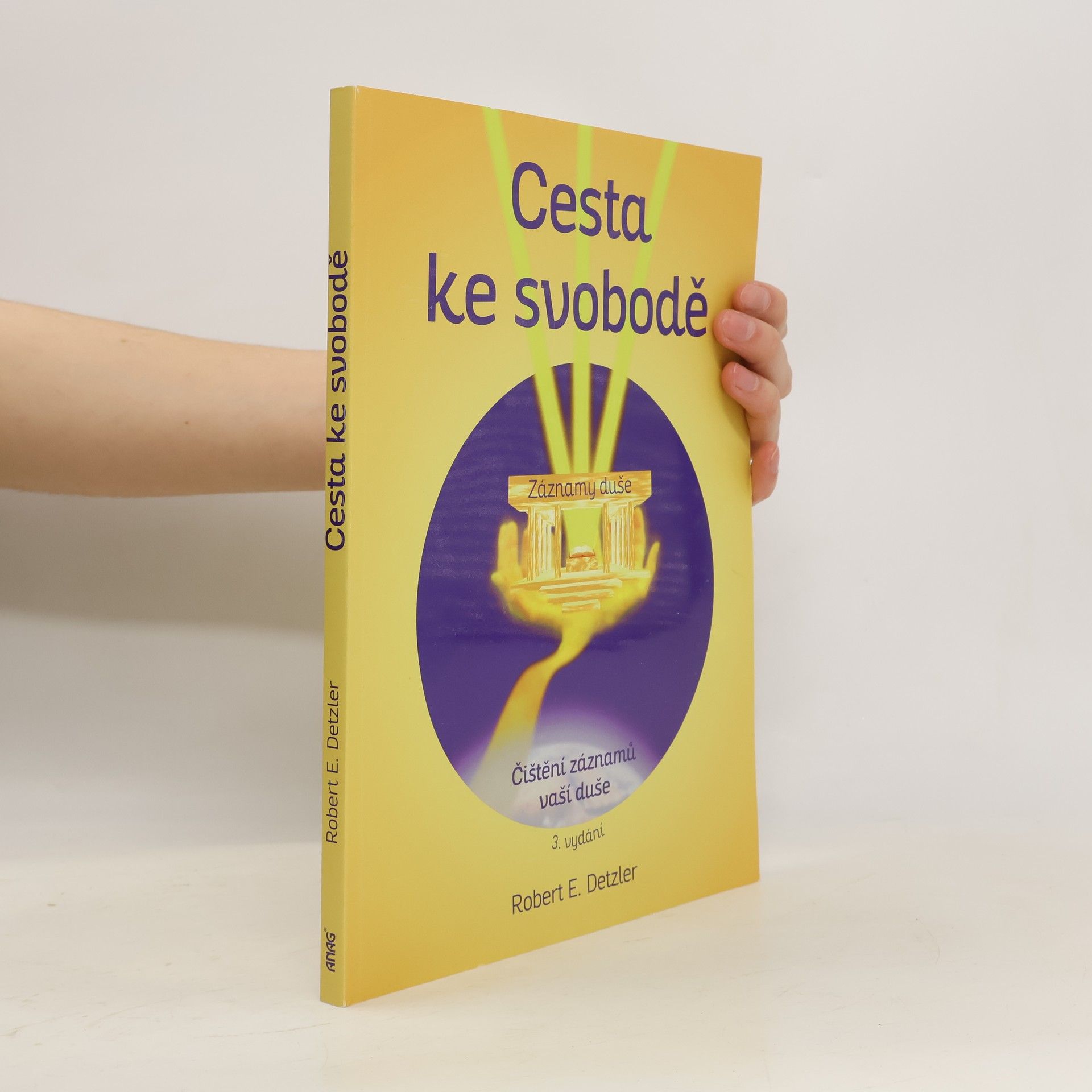 Robert E. Detzler Cesta ke svobodě : vyčištění záznamů vaší duše
