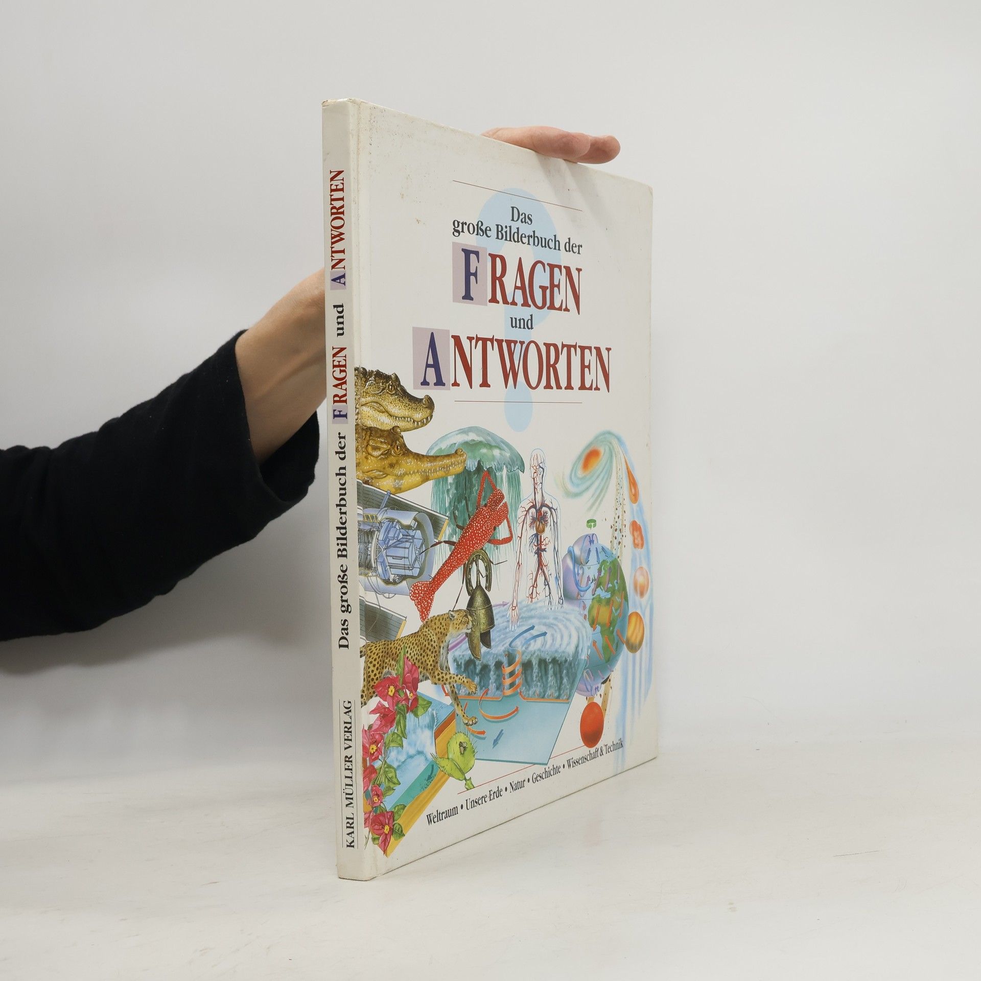 Various authors Das grosse Bilderbuch der Fragen und Antworten